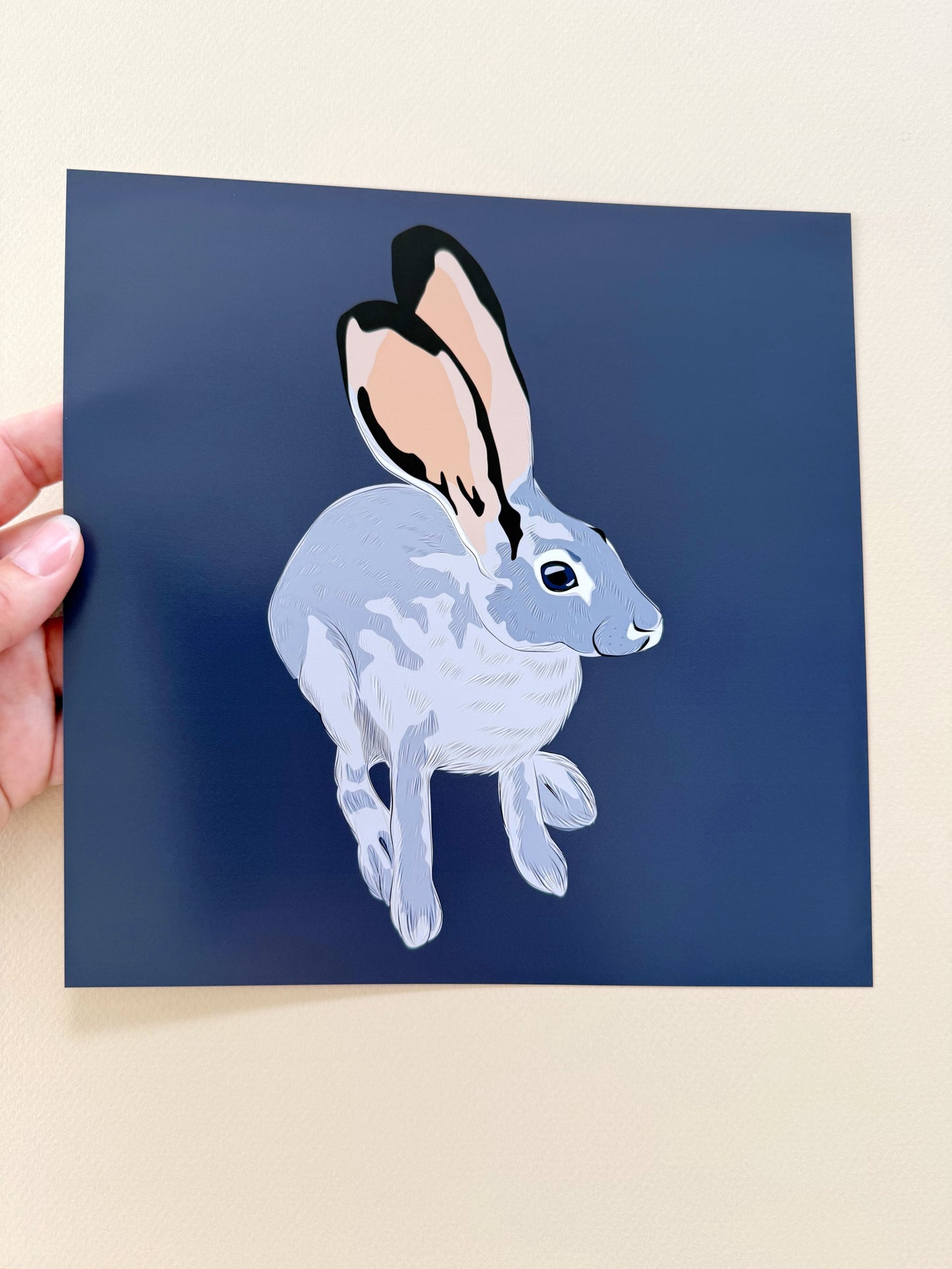 AE. Jackrabbit Looking Up Print on a Navy Blue Background