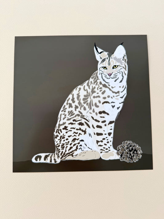 A. Bob Cat drawing Print on a brown background