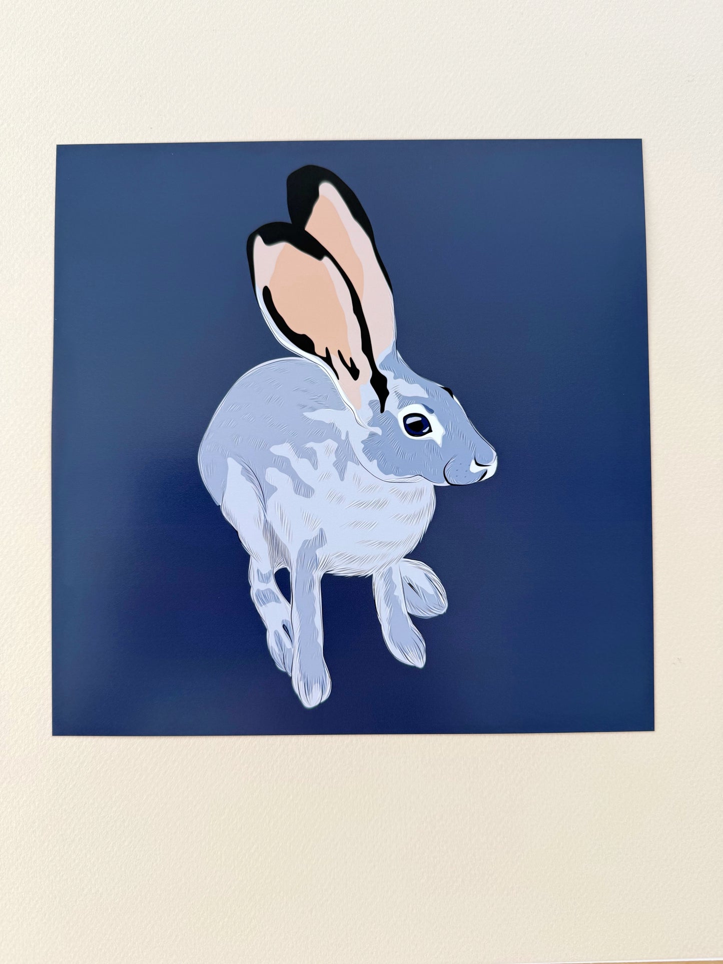 AE. Jackrabbit Looking Up Print on a Navy Blue Background