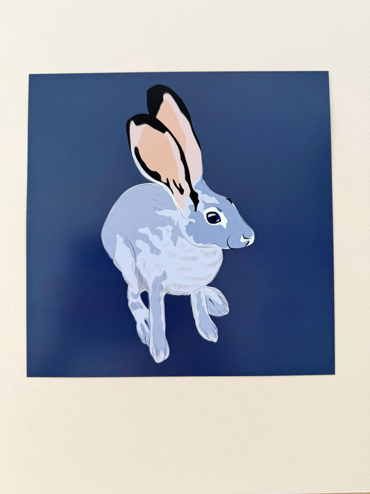 AE. Jackrabbit Looking Up Print on a Navy Blue Background
