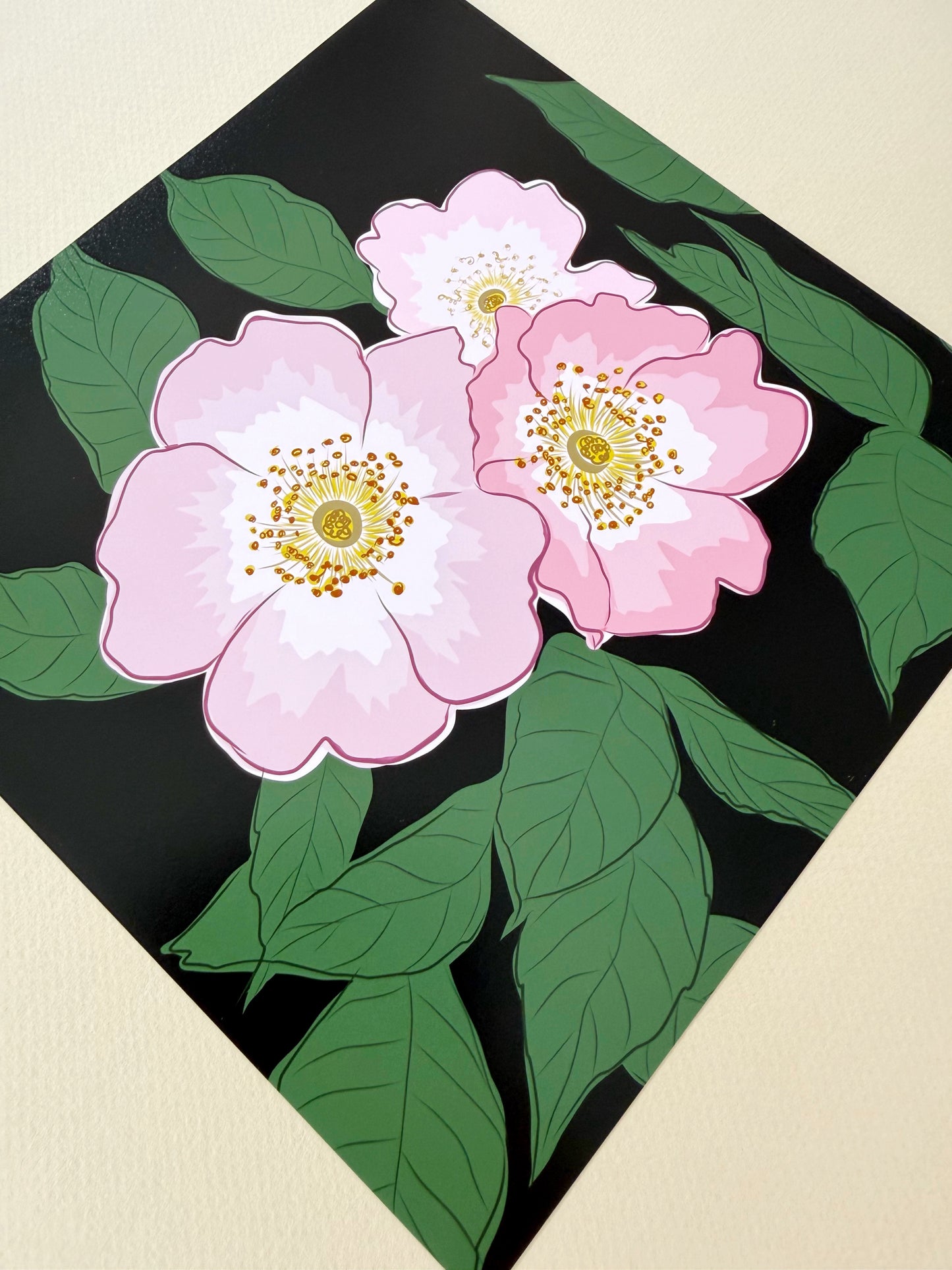 AE. Wild Pink Roses on a Black Background Print