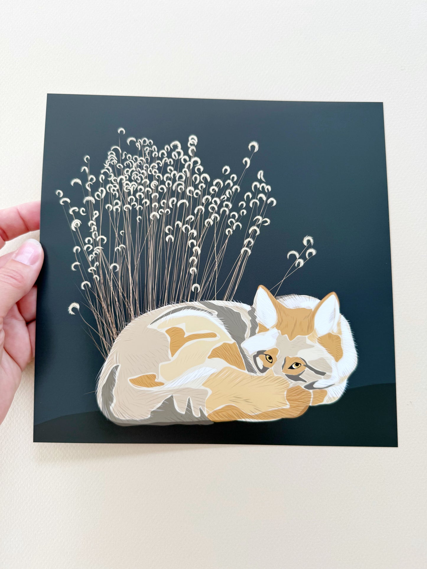 AG. Coyote with grasses print on an espresso brown background