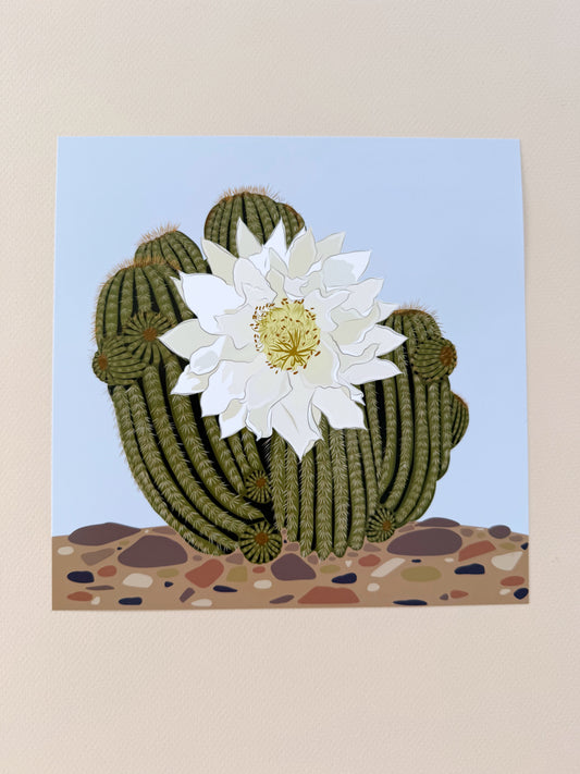 A. Ivory Blooming Cactus print