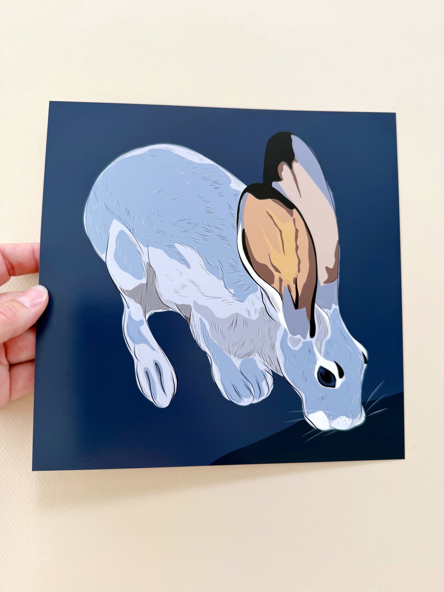 A. Jackrabbit drinking Print on a navy blue background