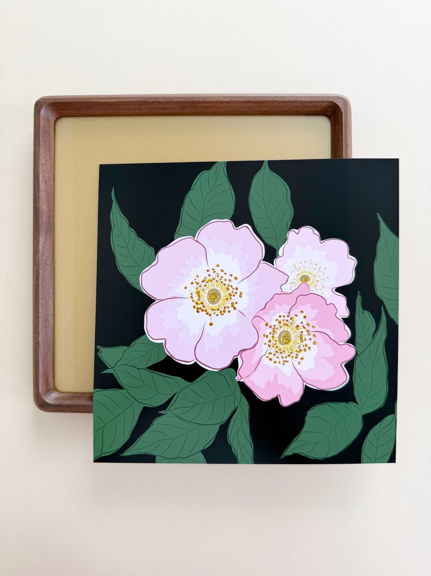AE. Wild Pink Roses on a Black Background Print