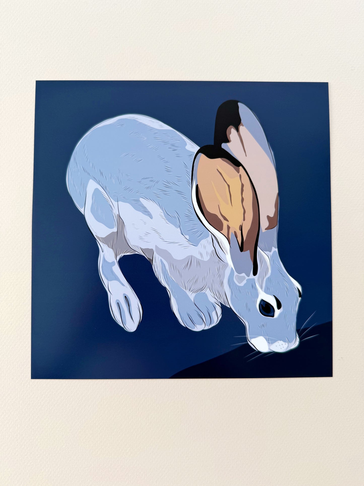 A. Jackrabbit drinking Print on a navy blue background