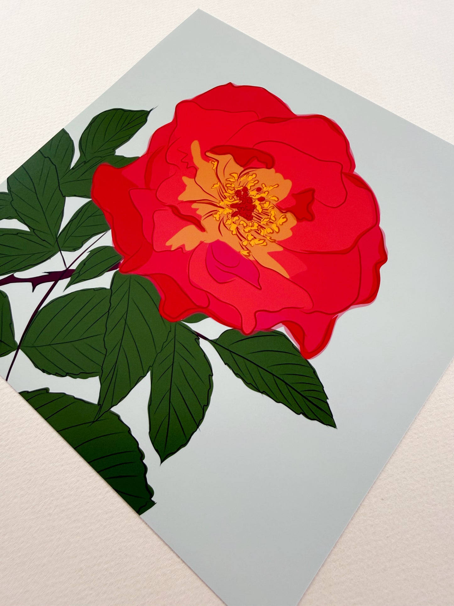 AE. Red Rose Print
