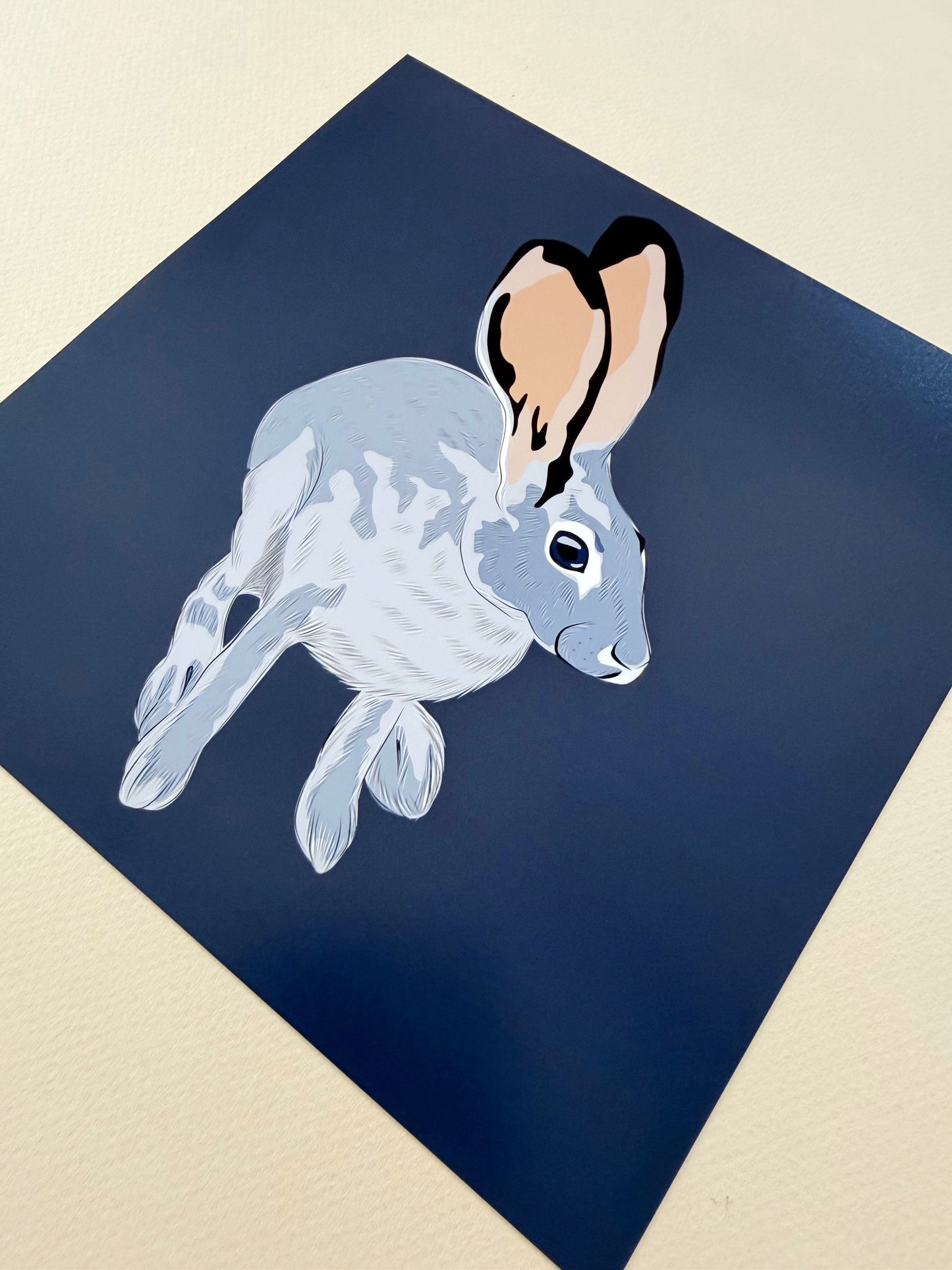 AE. Jackrabbit Looking Up Print on a Navy Blue Background