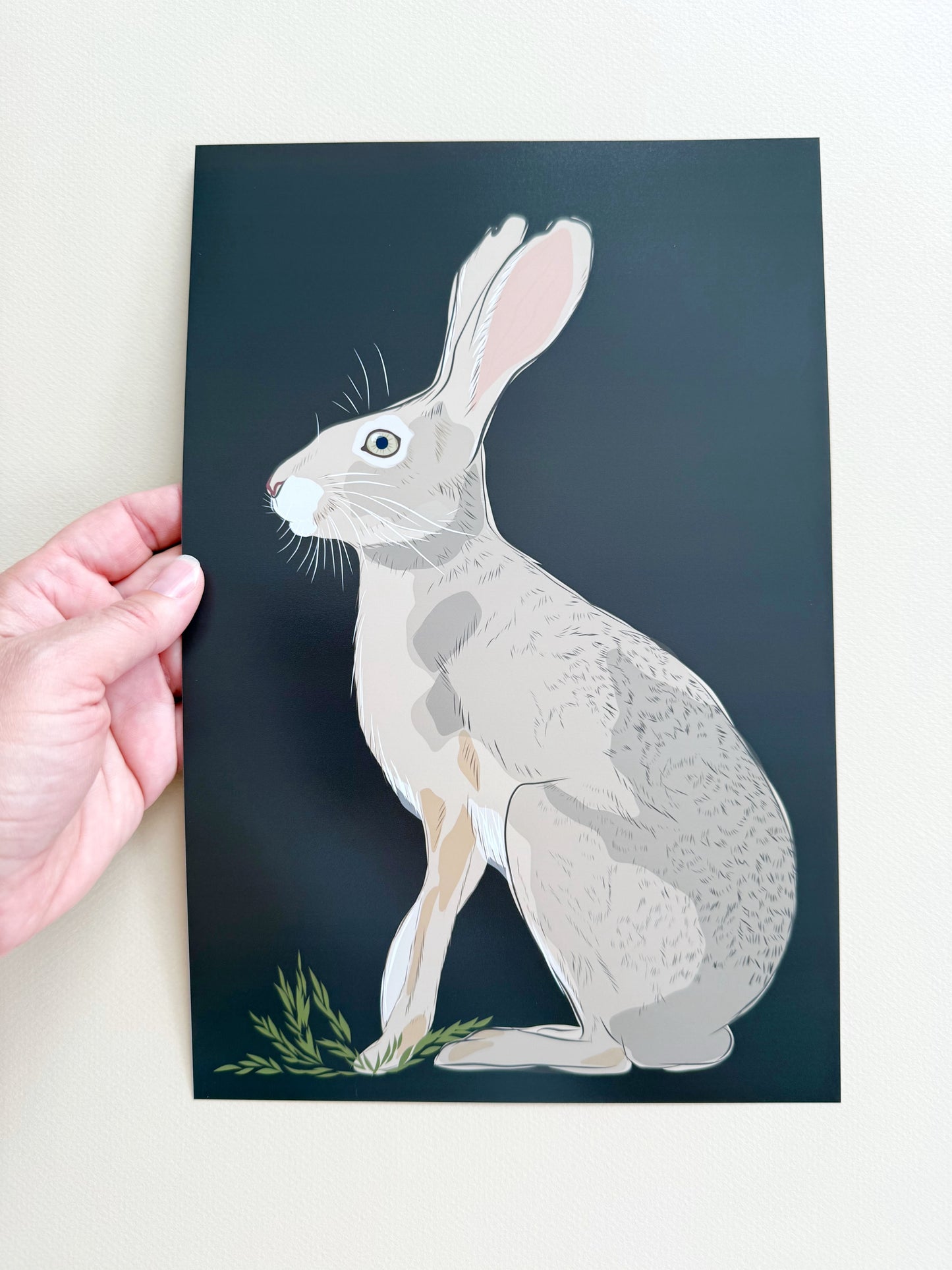 AE. Jackrabbit on Dark Chocolate Brown Background Print