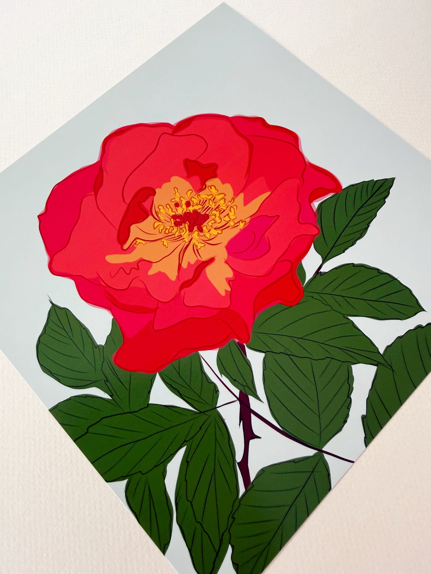 AE. Red Rose Print