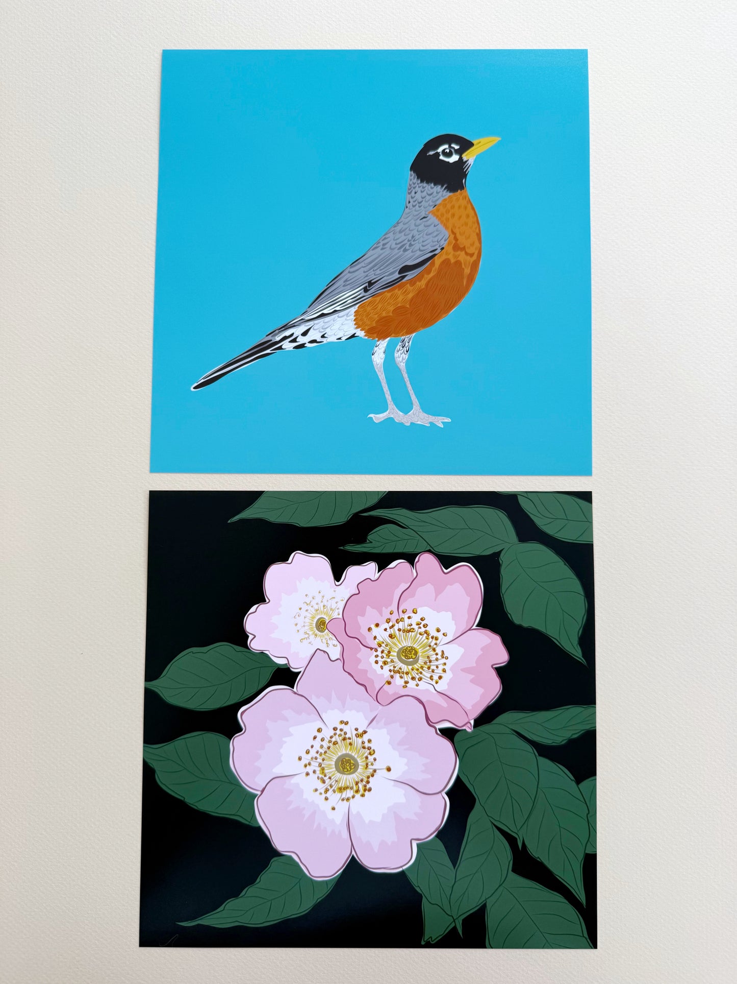 AJ. Robin on Turquoise Print