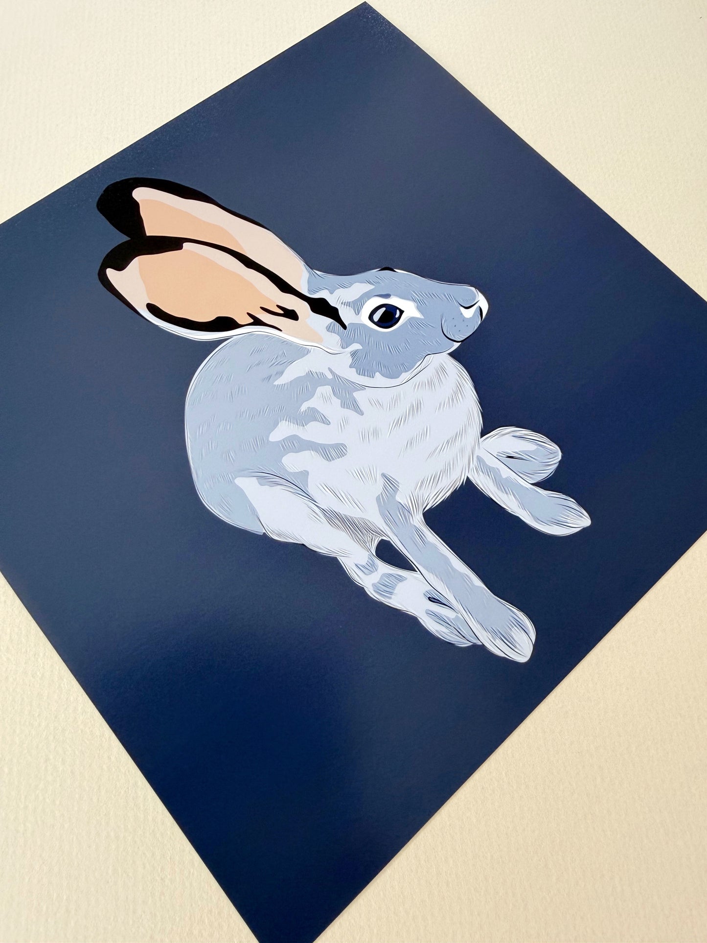 AE. Jackrabbit Looking Up Print on a Navy Blue Background