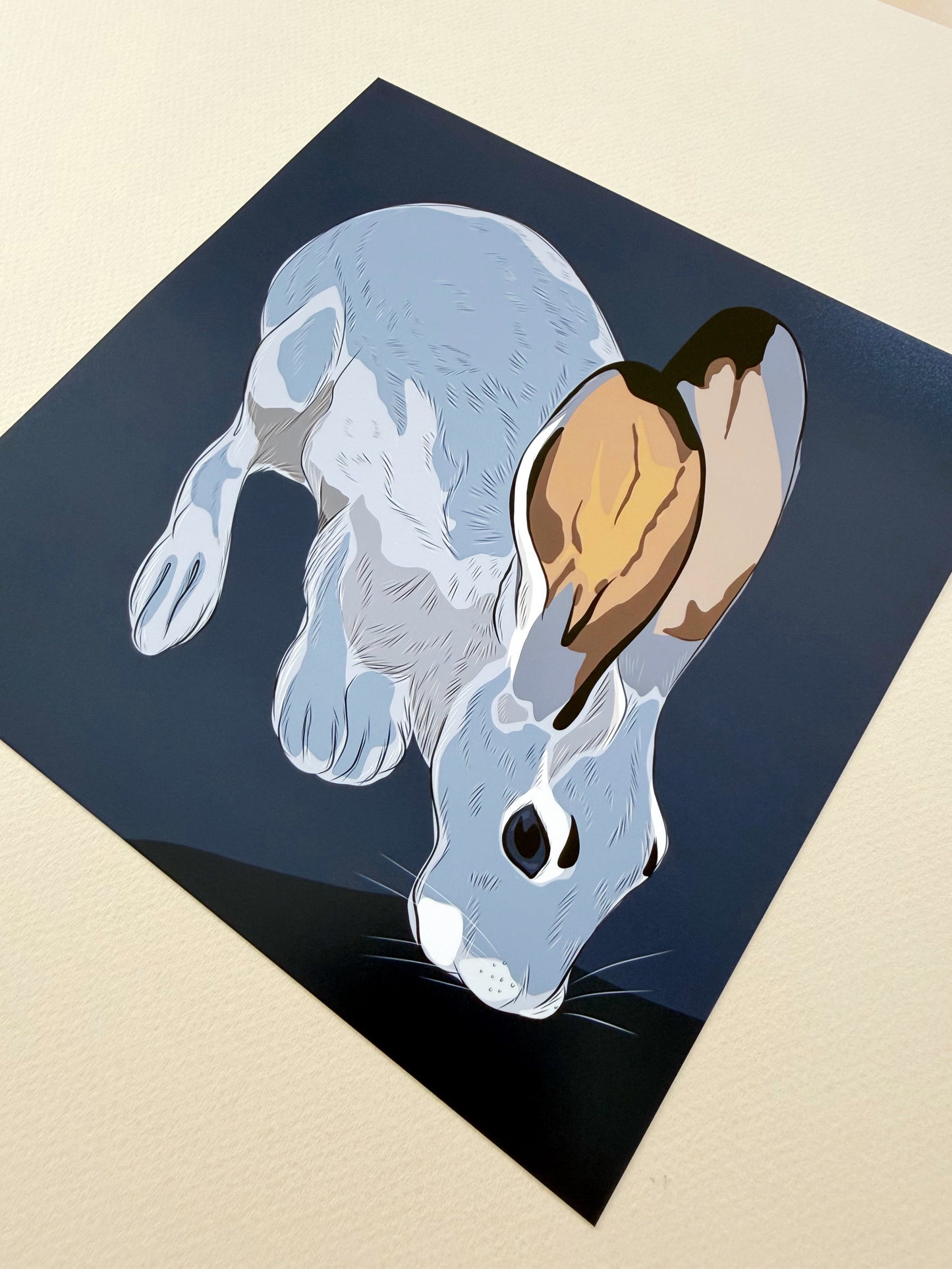 A. Jackrabbit drinking Print on a navy blue background