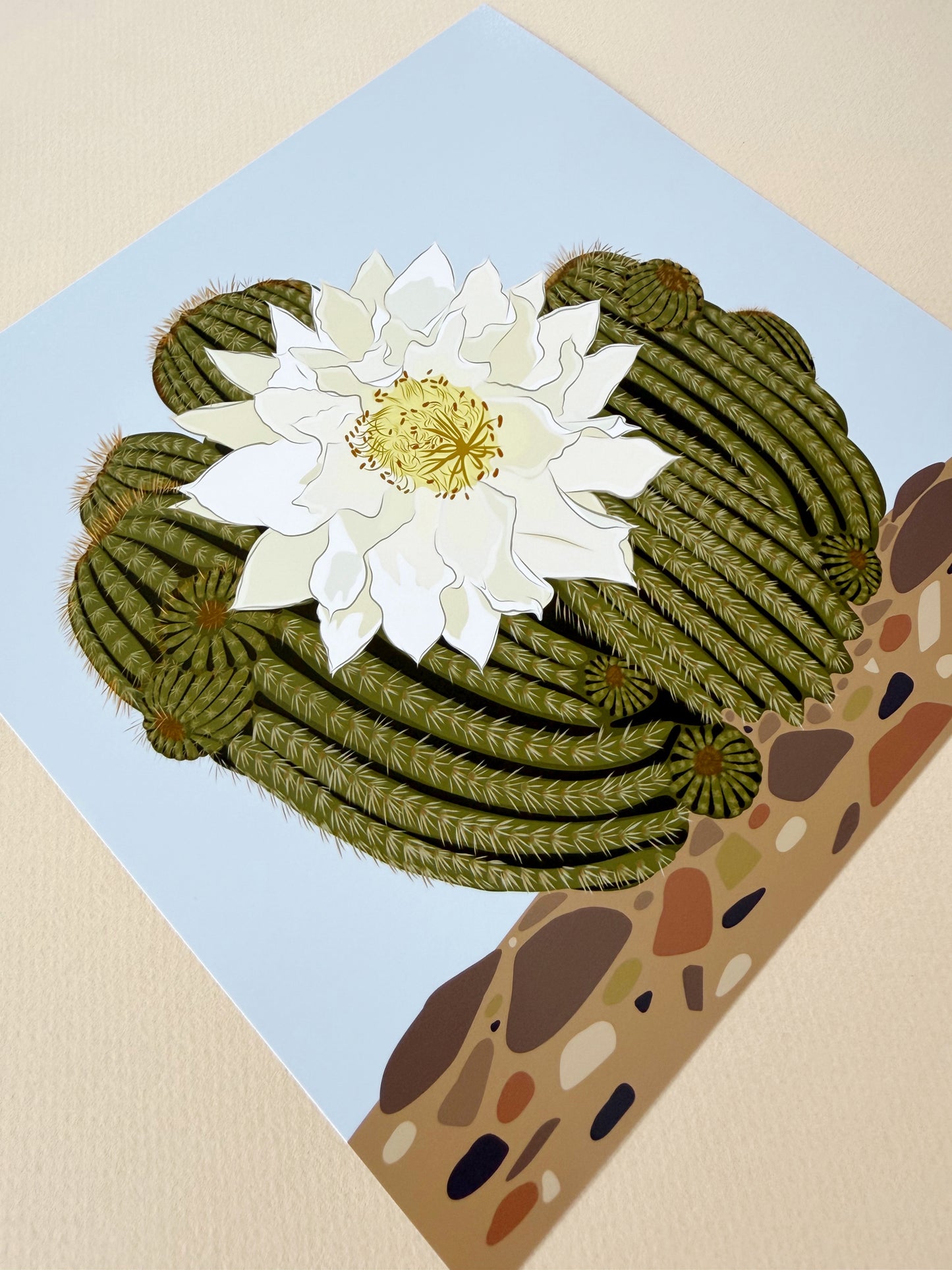 A. Ivory Blooming Cactus print