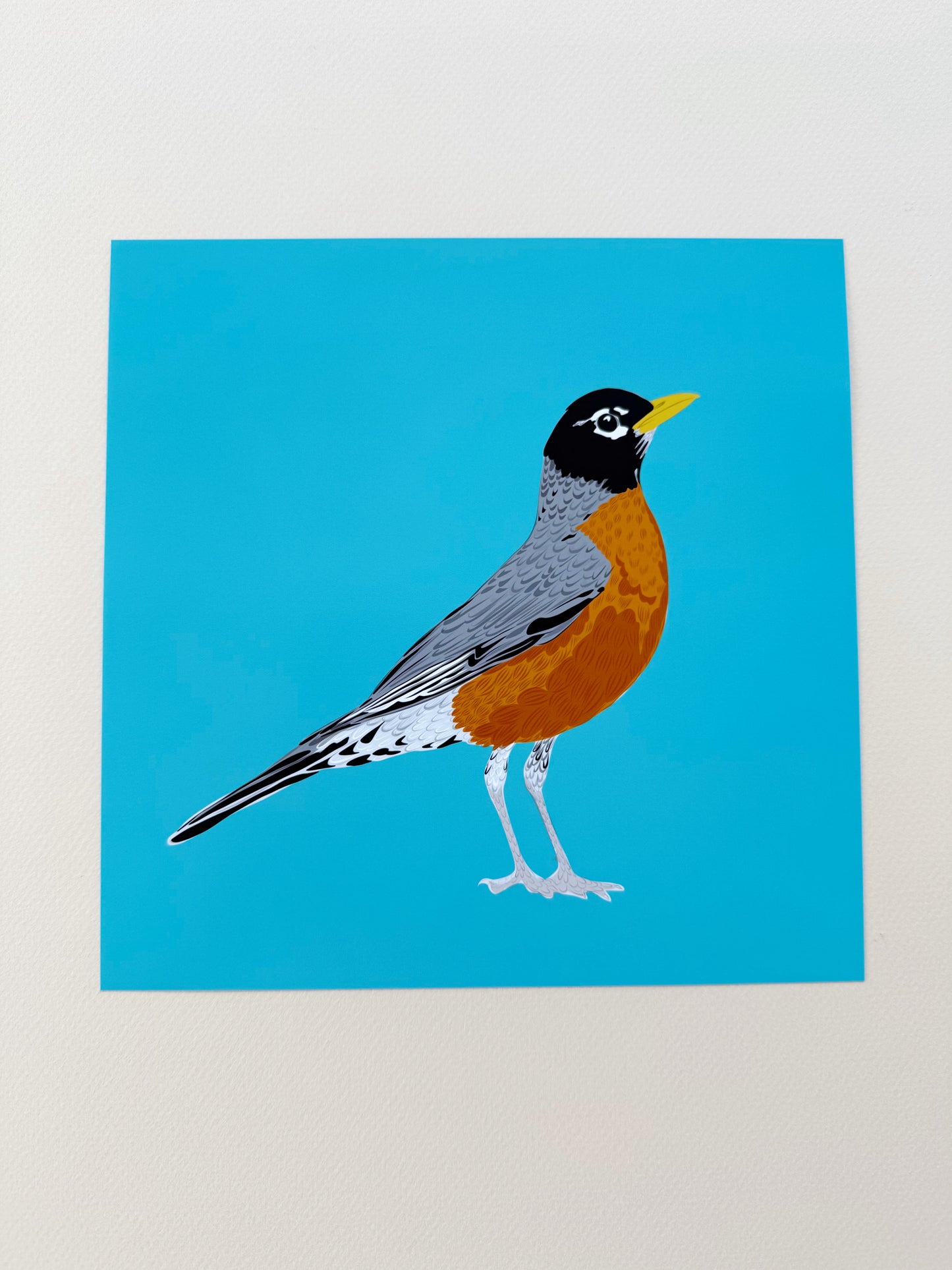 AJ. Robin on Turquoise Print