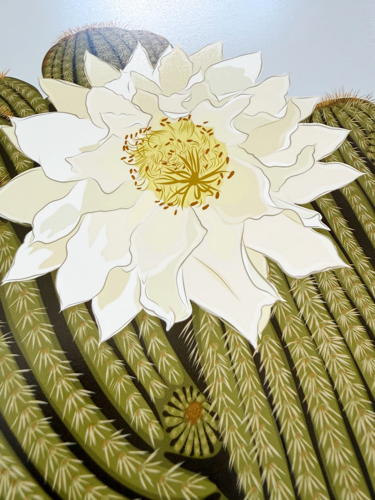 A. Ivory Blooming Cactus print