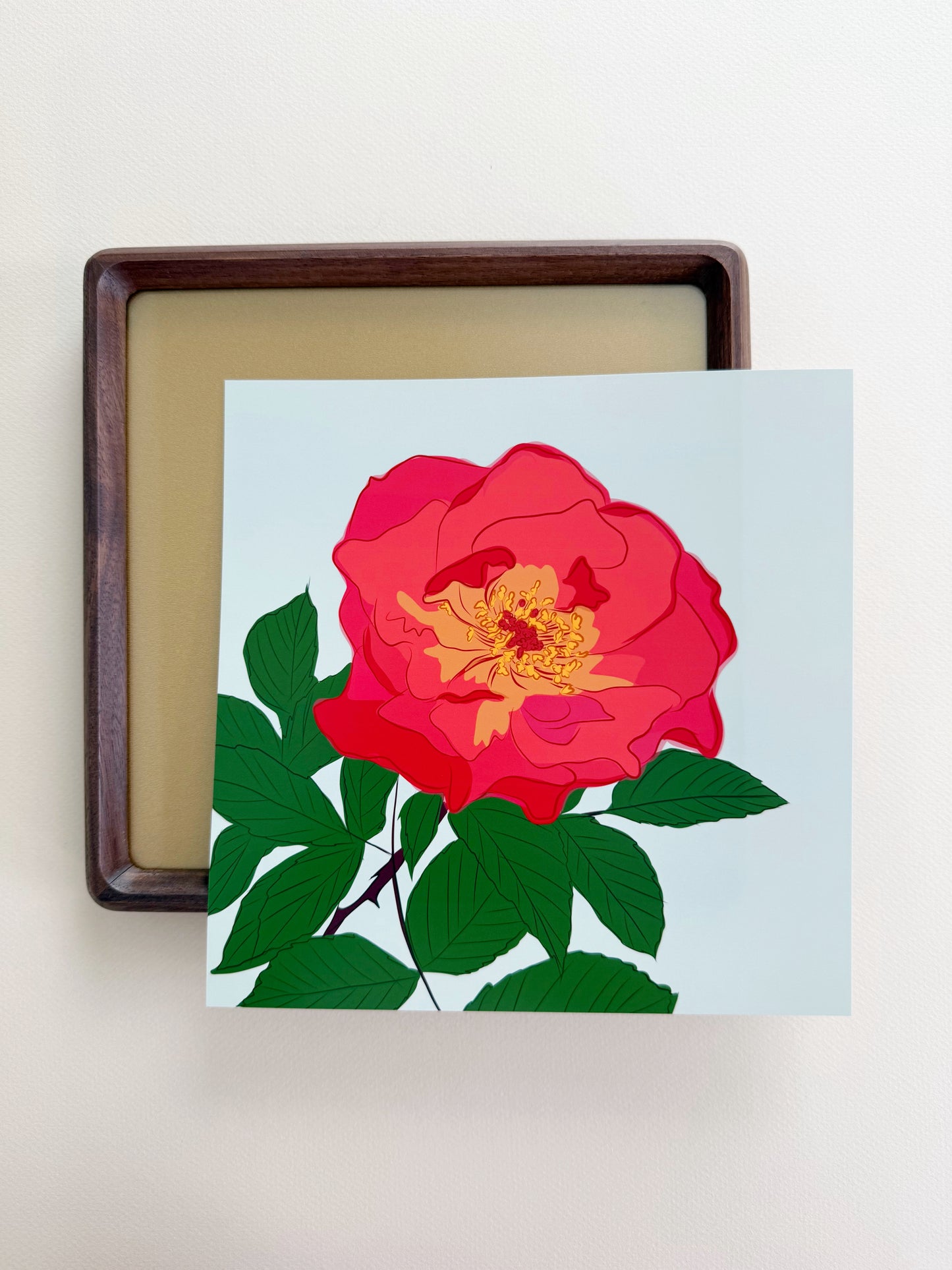 AE. Red Rose Print
