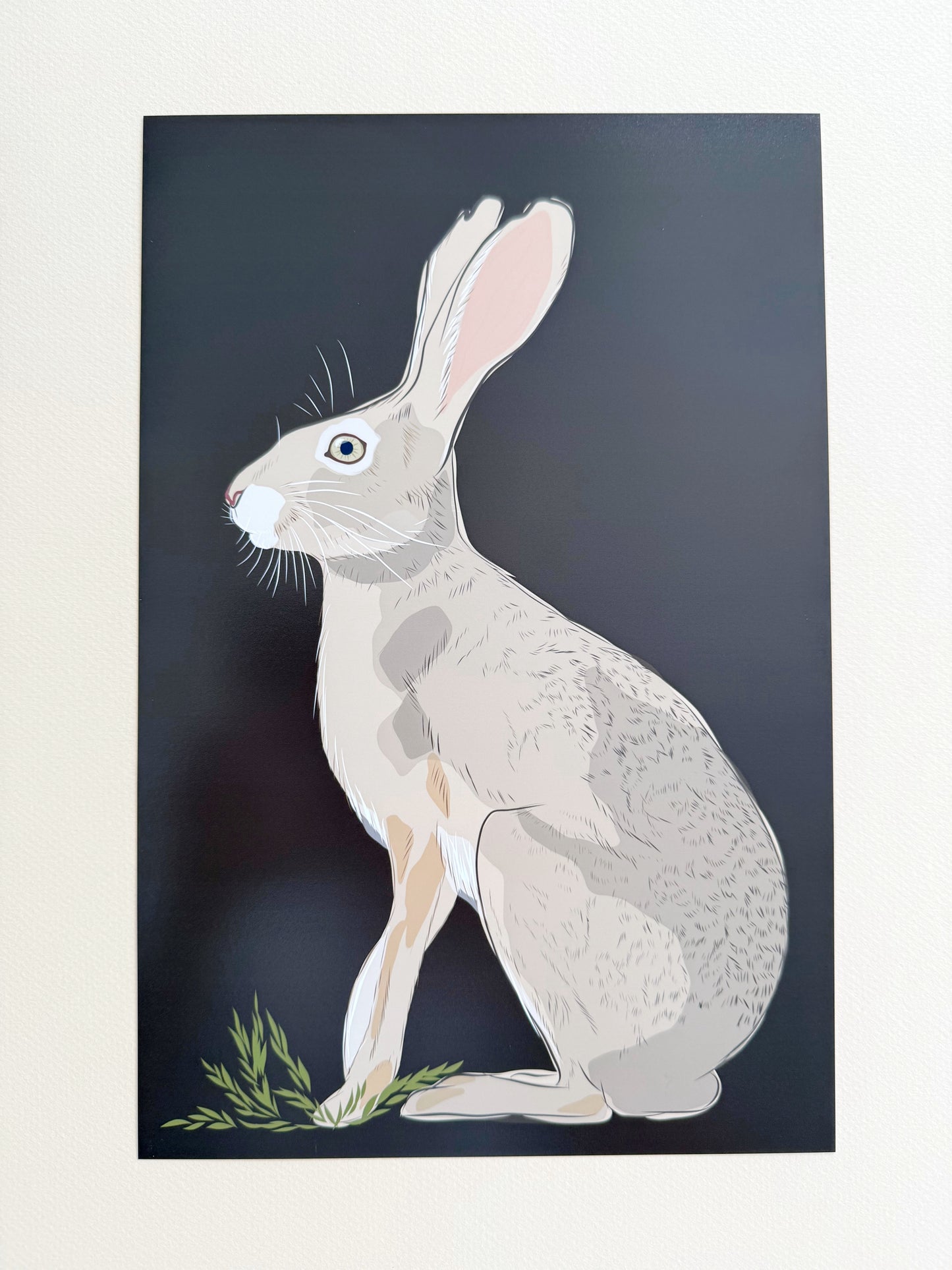 AE. Jackrabbit on Dark Chocolate Brown Background Print