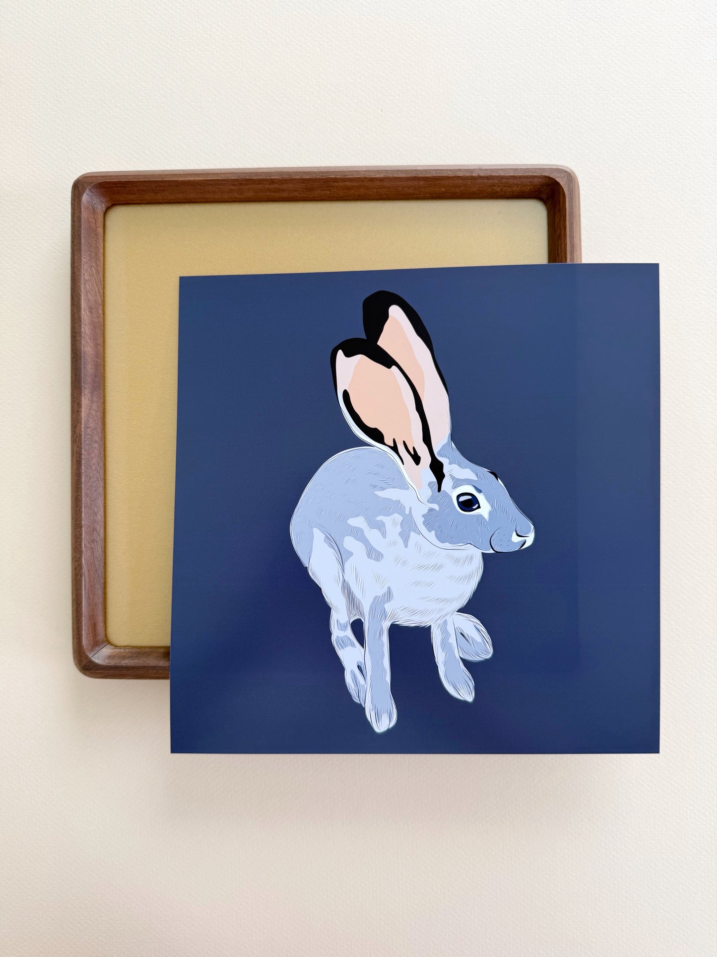 AE. Jackrabbit Looking Up Print on a Navy Blue Background