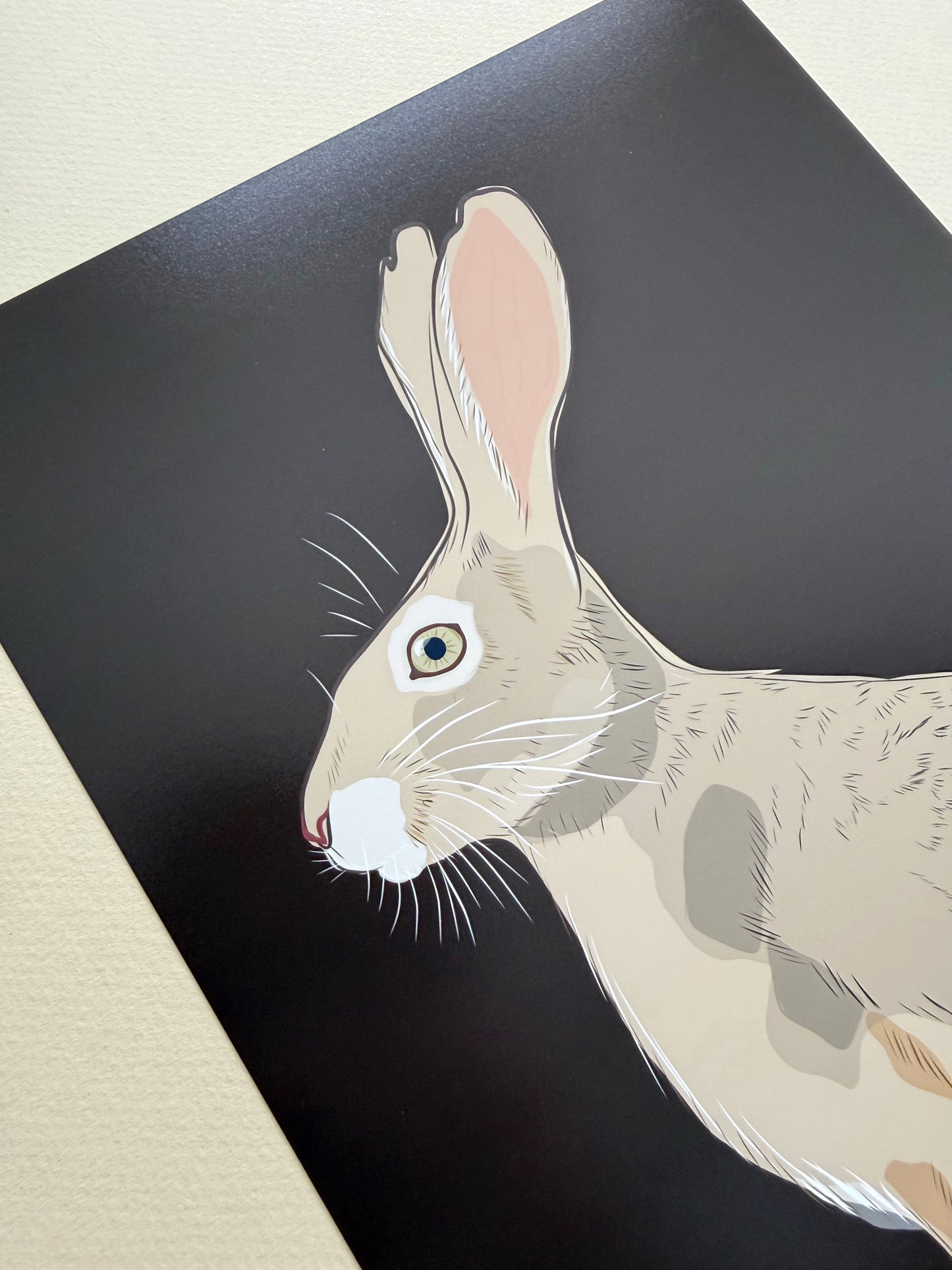 AE. Jackrabbit on Dark Chocolate Brown Background Print