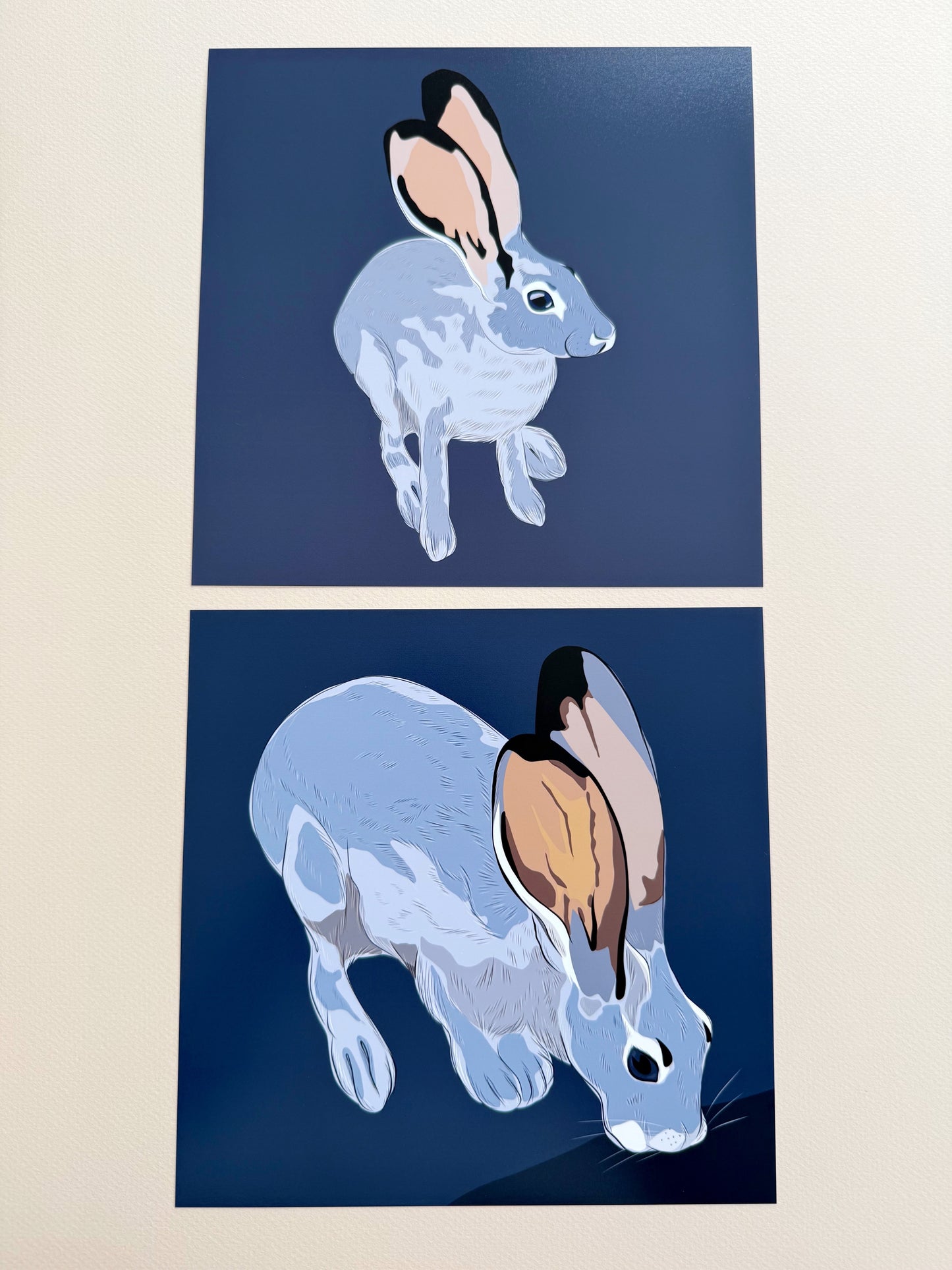 A. Jackrabbit drinking Print on a navy blue background