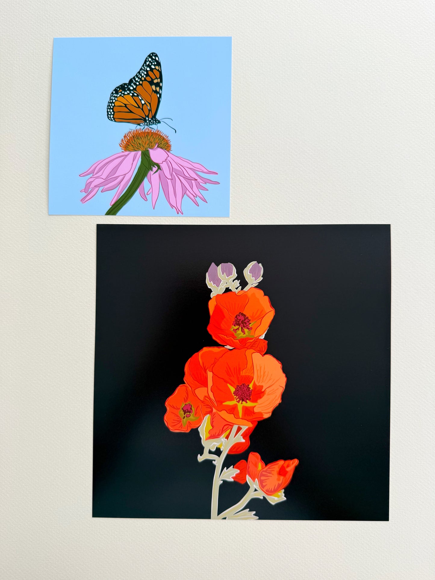 AK. Print of my Apricot Globe Mallow drawing with a dark chocolate background