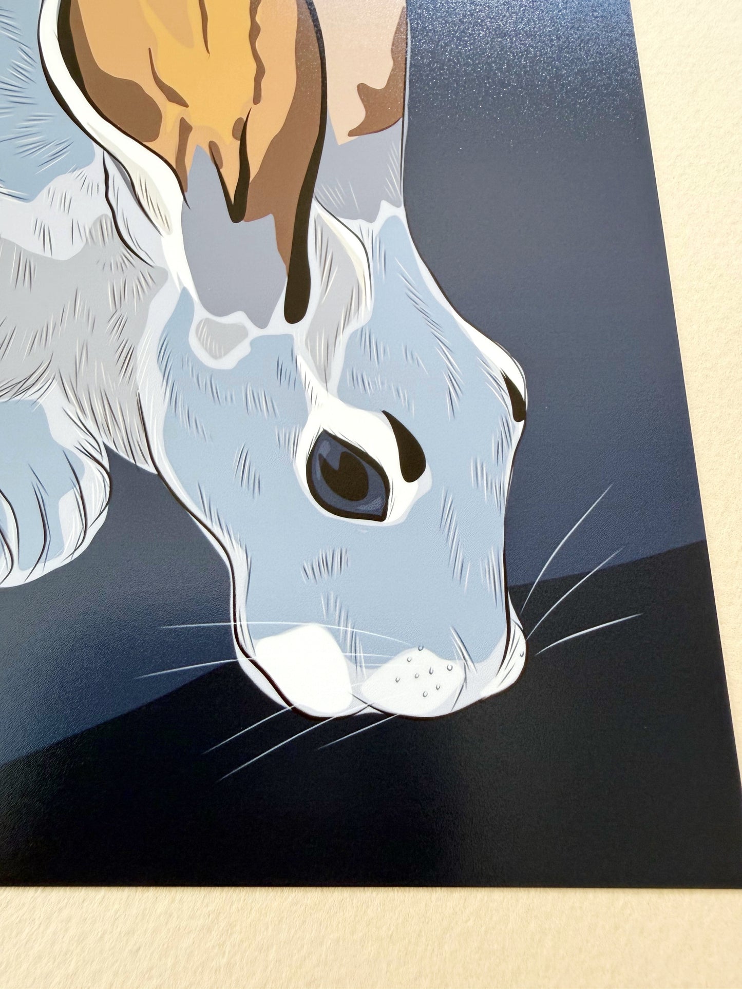 A. Jackrabbit drinking Print on a navy blue background