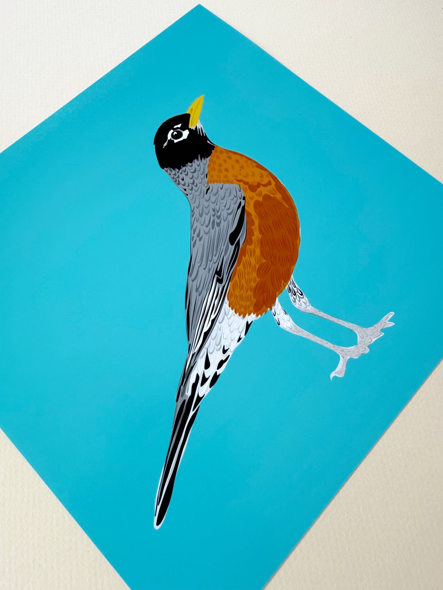 AJ. Robin on Turquoise Print