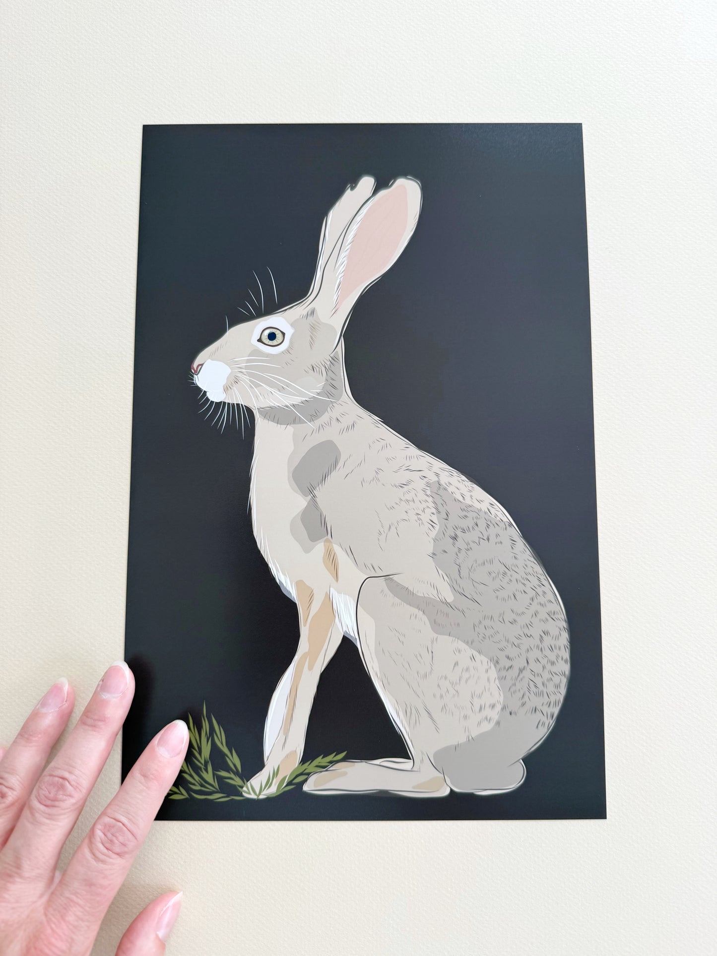 AE. Jackrabbit on Dark Chocolate Brown Background Print