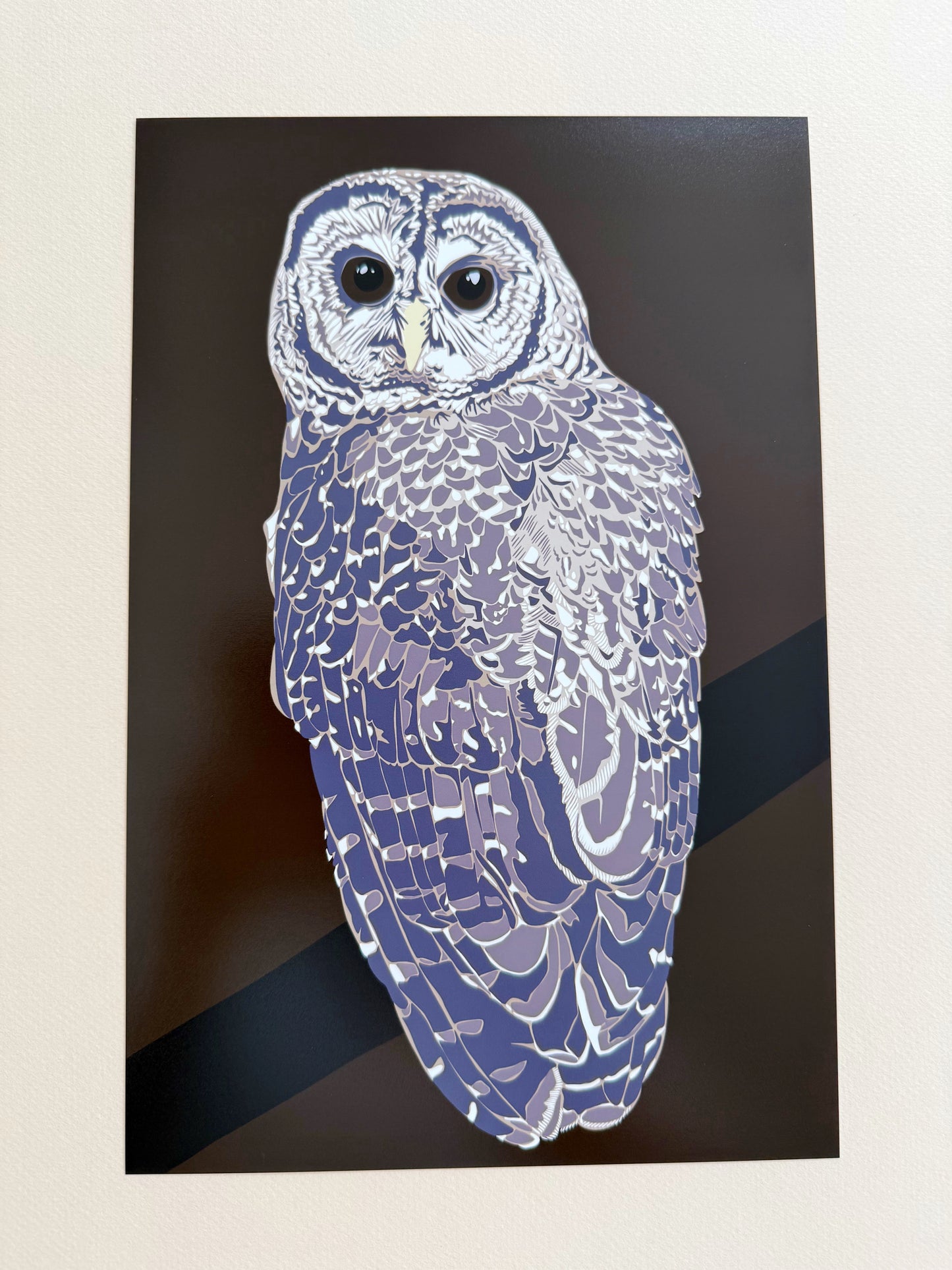 AB. Mexican Spotted Owl Print