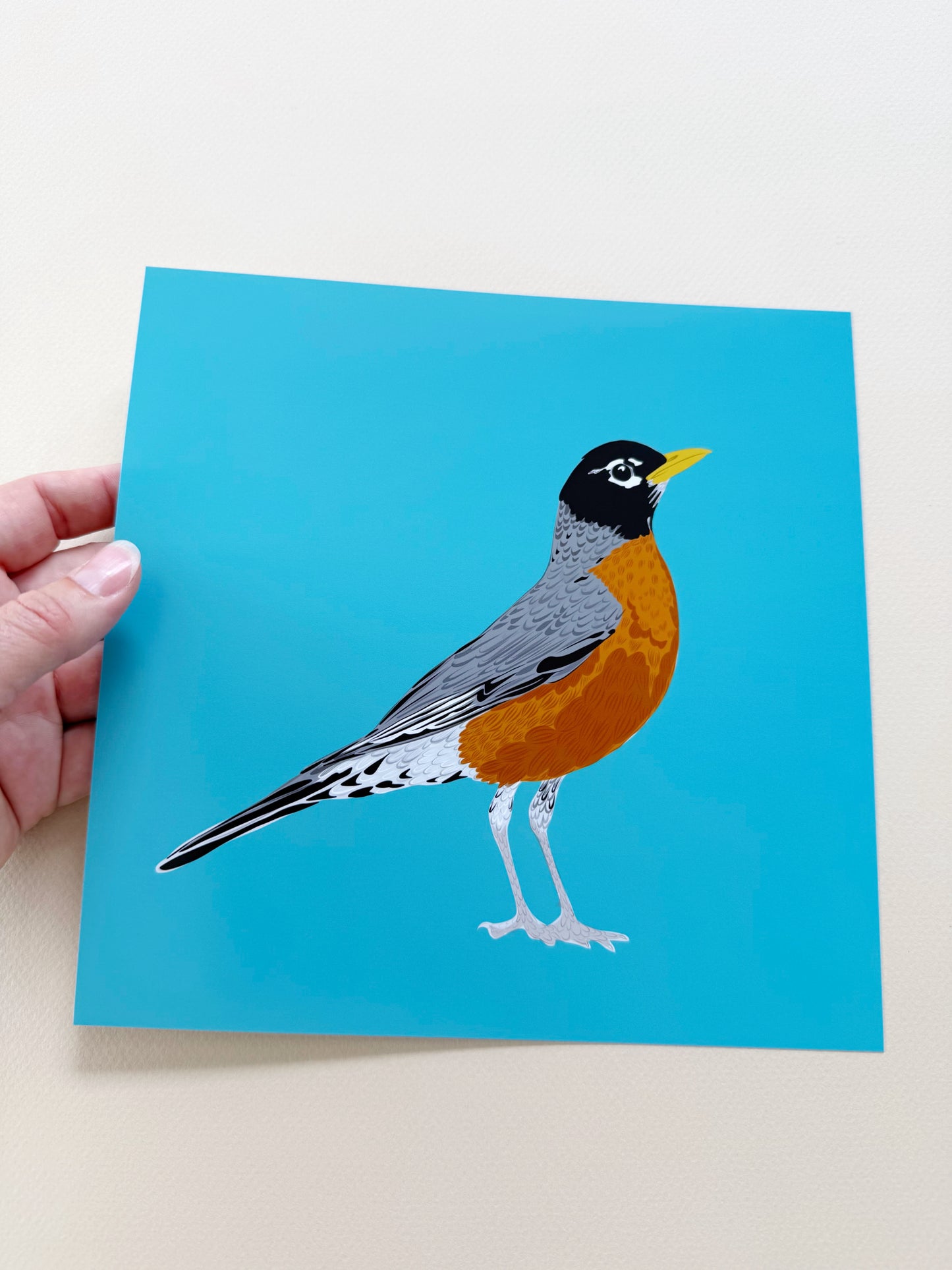 AJ. Robin on Turquoise Print