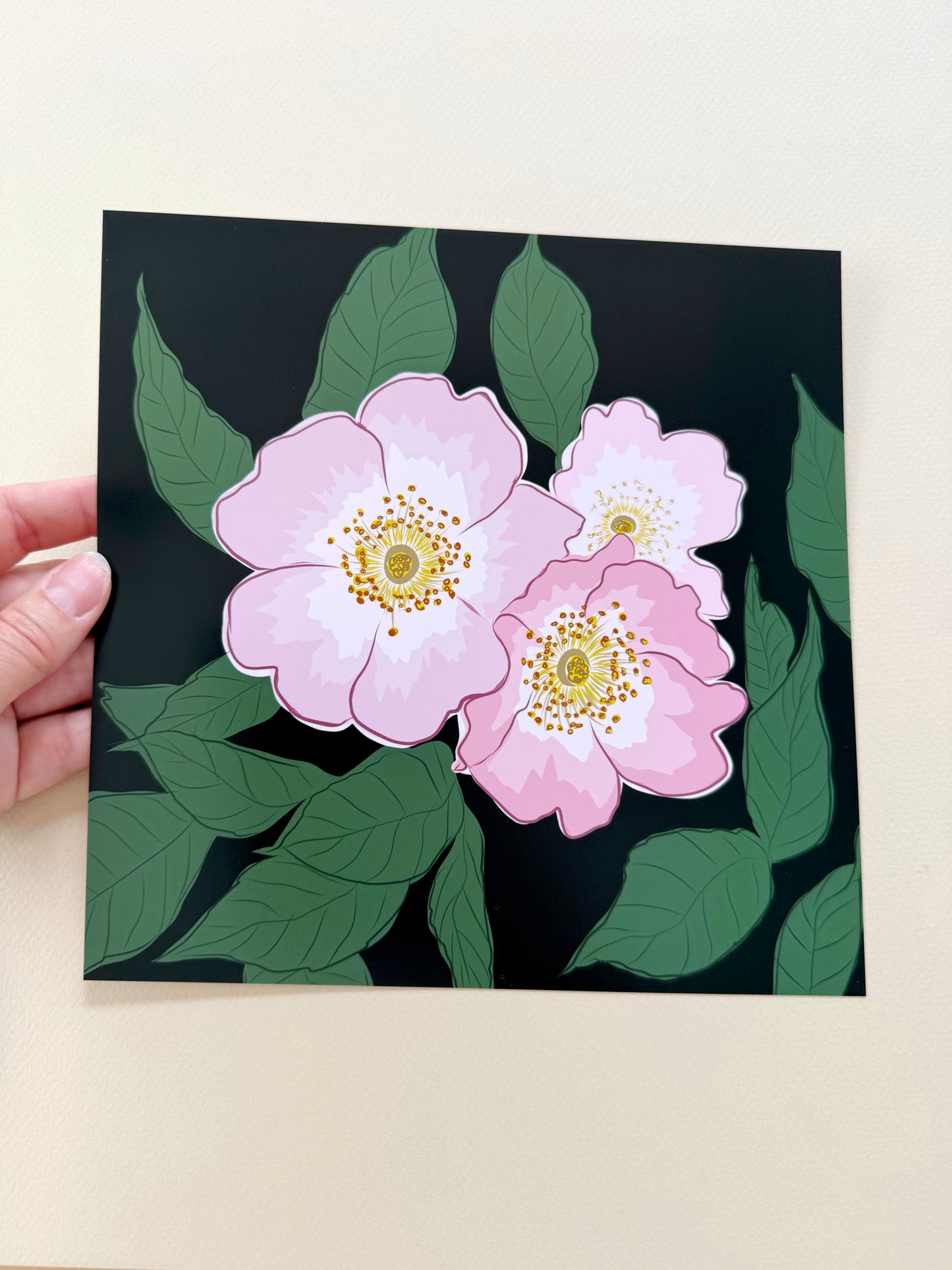 AE. Wild Pink Roses on a Black Background Print