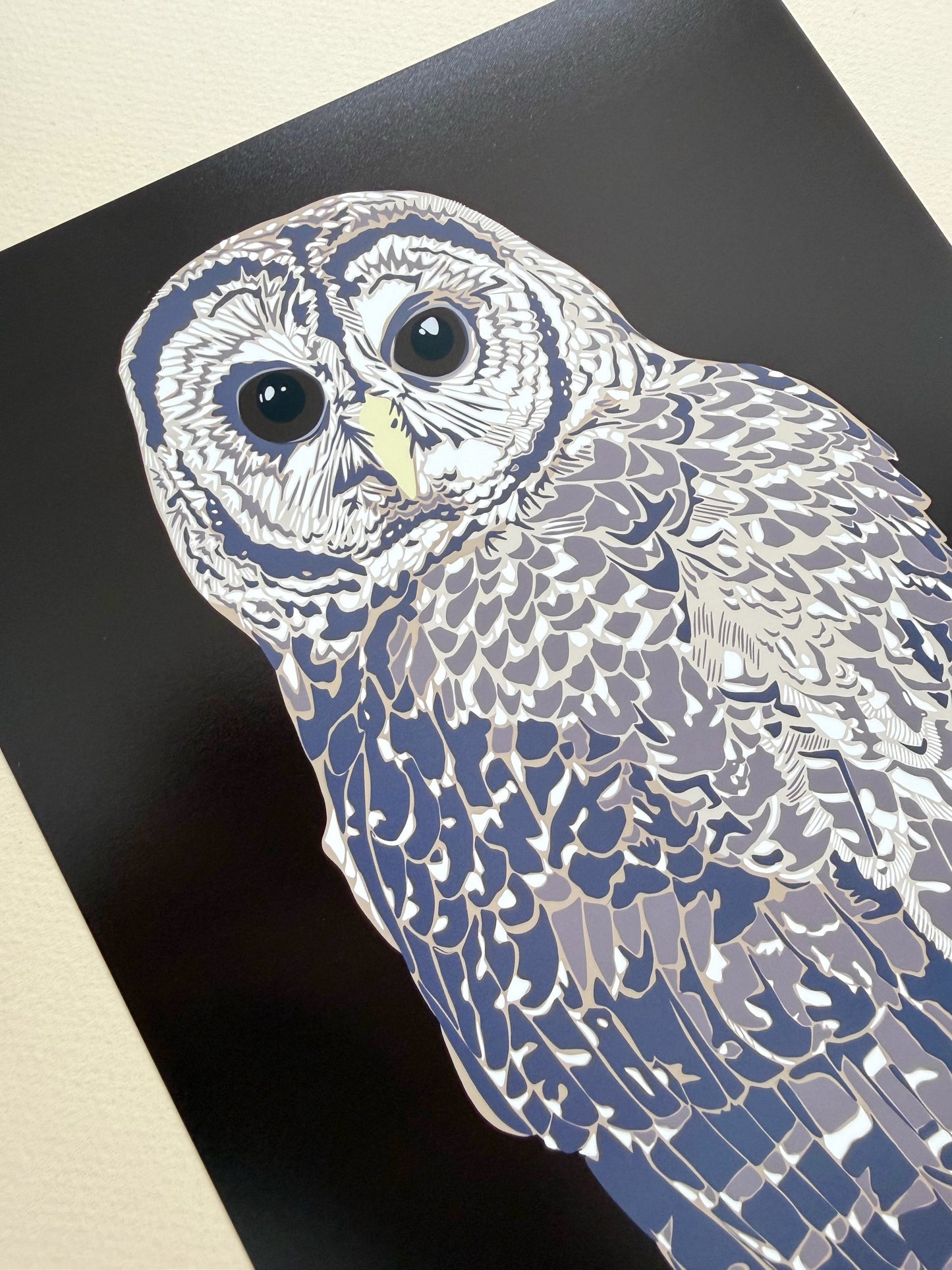 AB. Mexican Spotted Owl Print