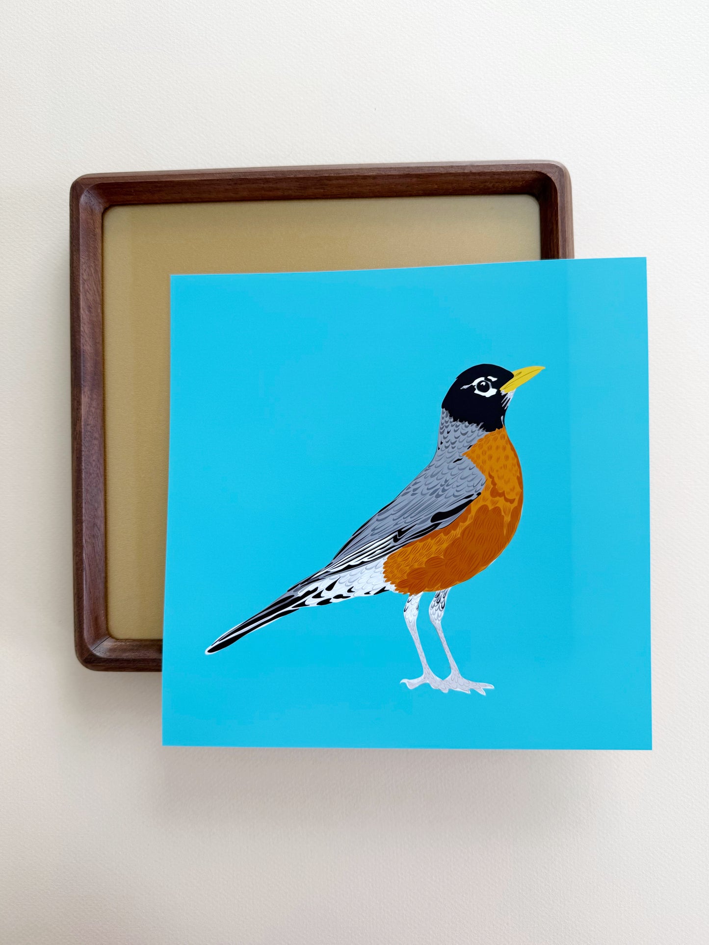 AJ. Robin on Turquoise Print