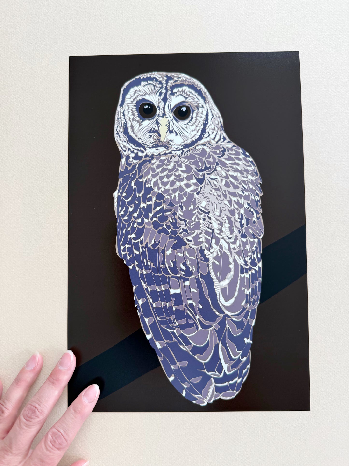 AB. Mexican Spotted Owl Print