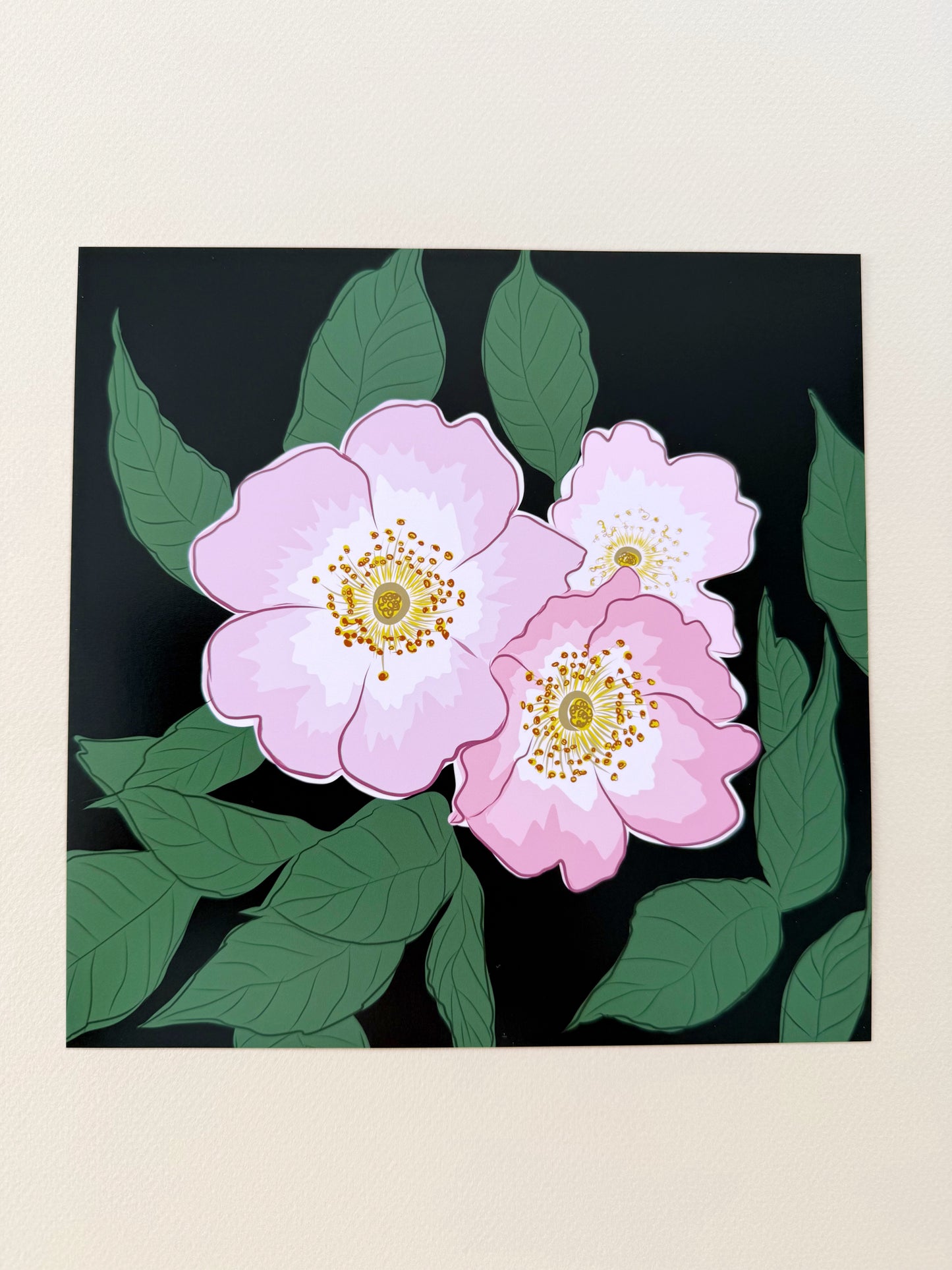 AE. Wild Pink Roses on a Black Background Print