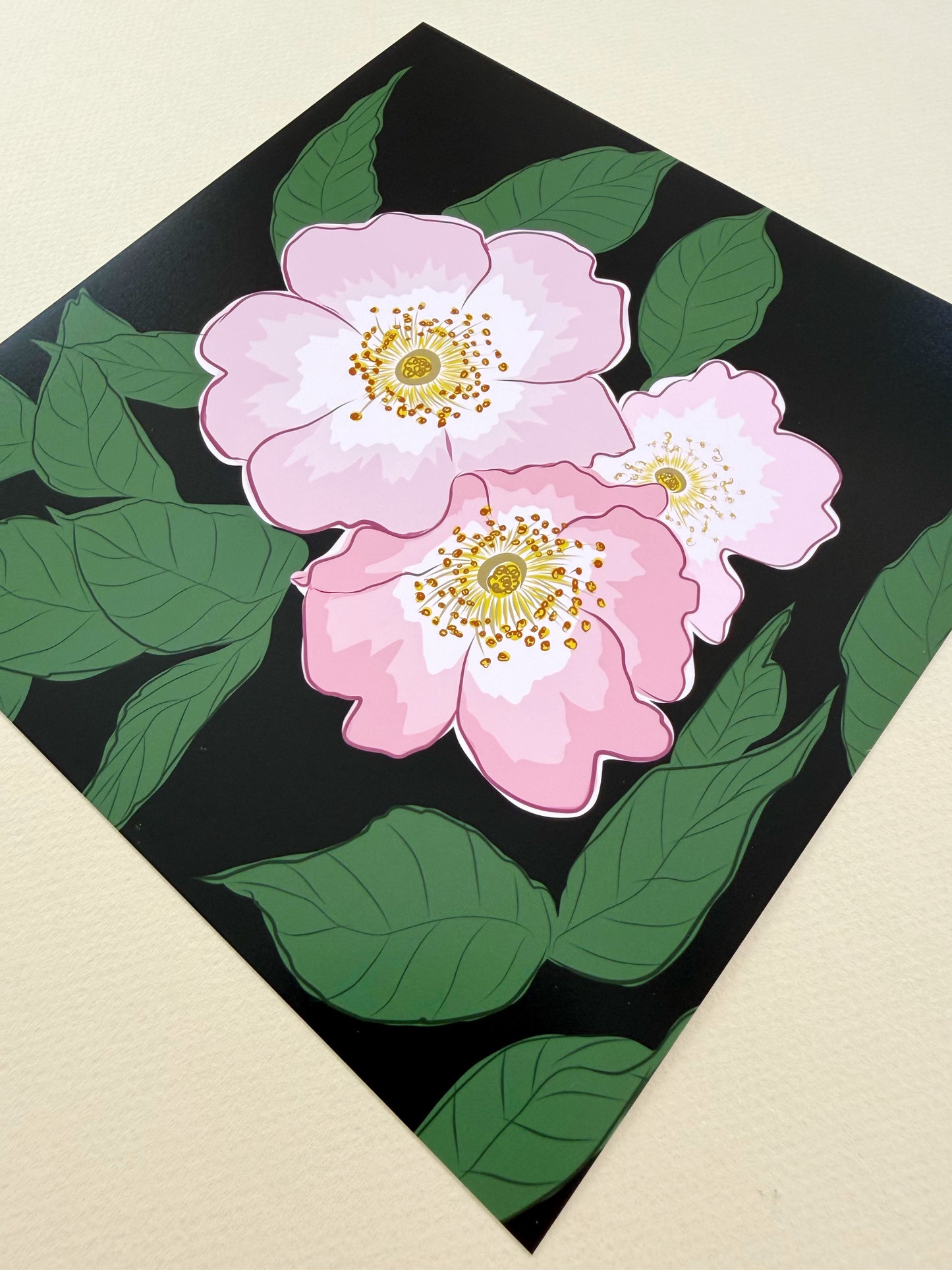 AE. Wild Pink Roses on a Black Background Print