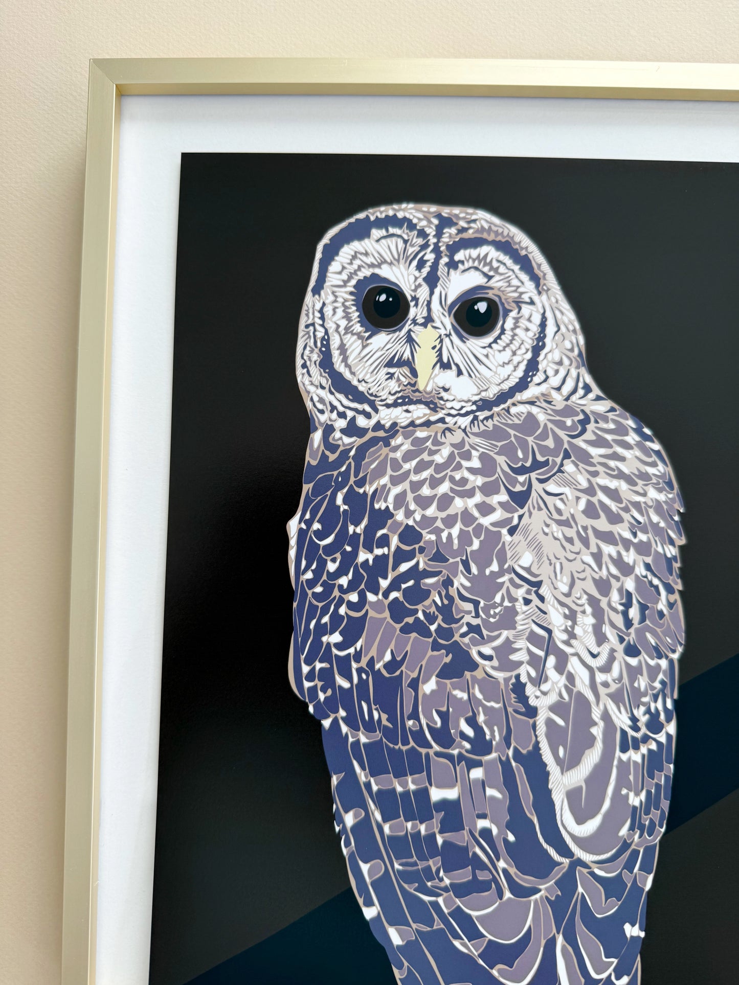 AB. Mexican Spotted Owl Print