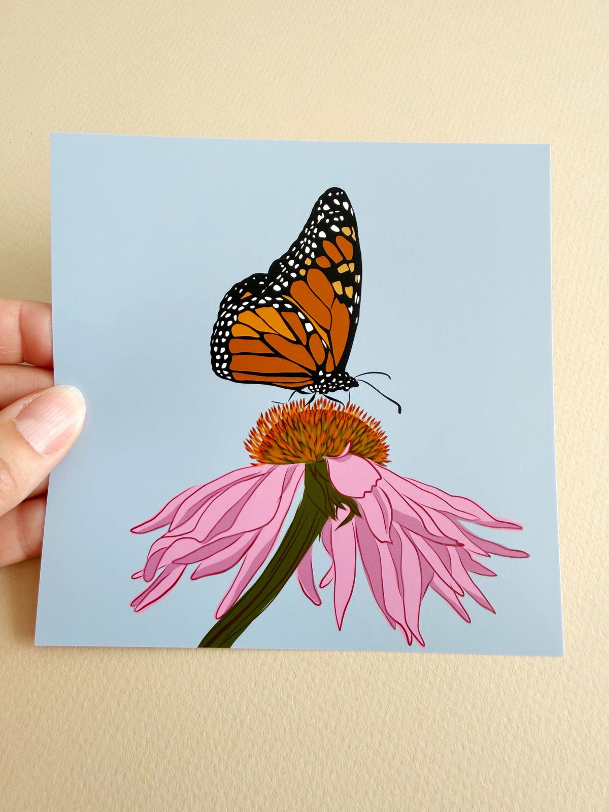 AE. Monarch Butterfly on Pink Echinacea Print