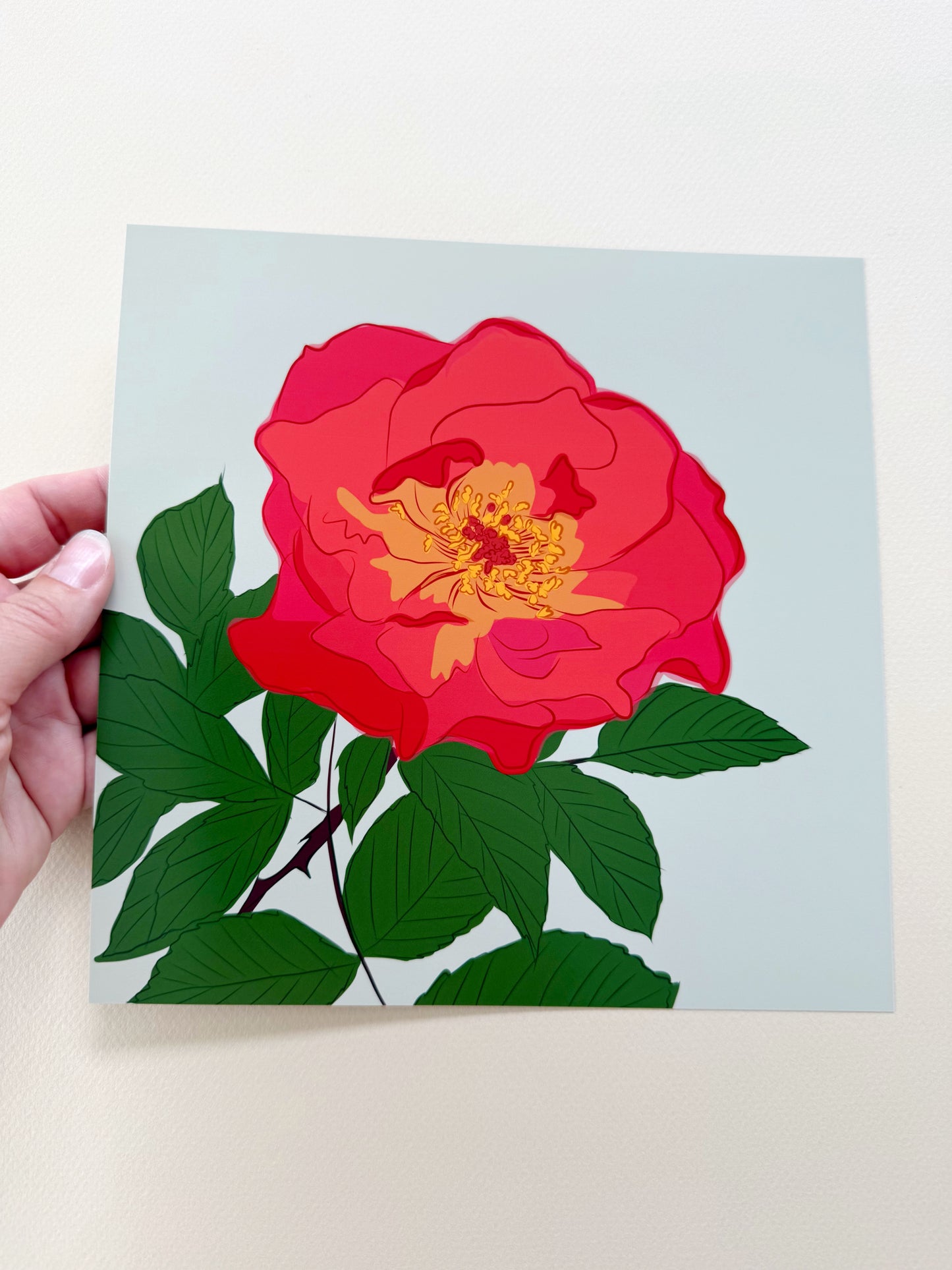 AE. Red Rose Print