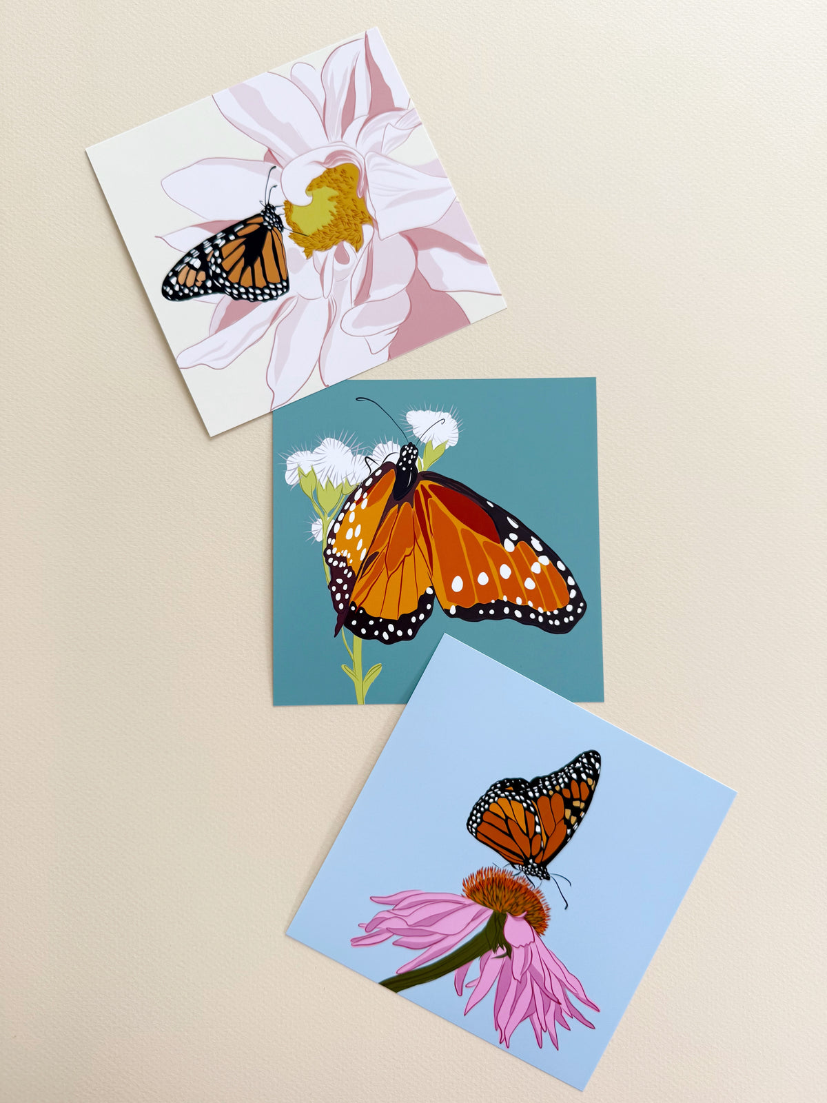 AE. Monarch Butterfly on Pink Echinacea Print