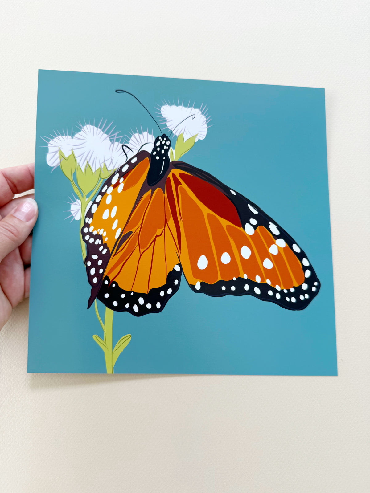 AE. Monarch Butterfly Teal Background Print