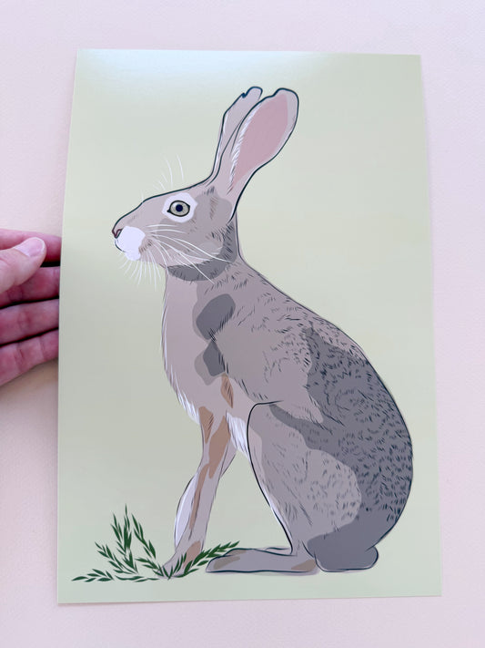 AE. Jackrabbit on Spring Green Background Print