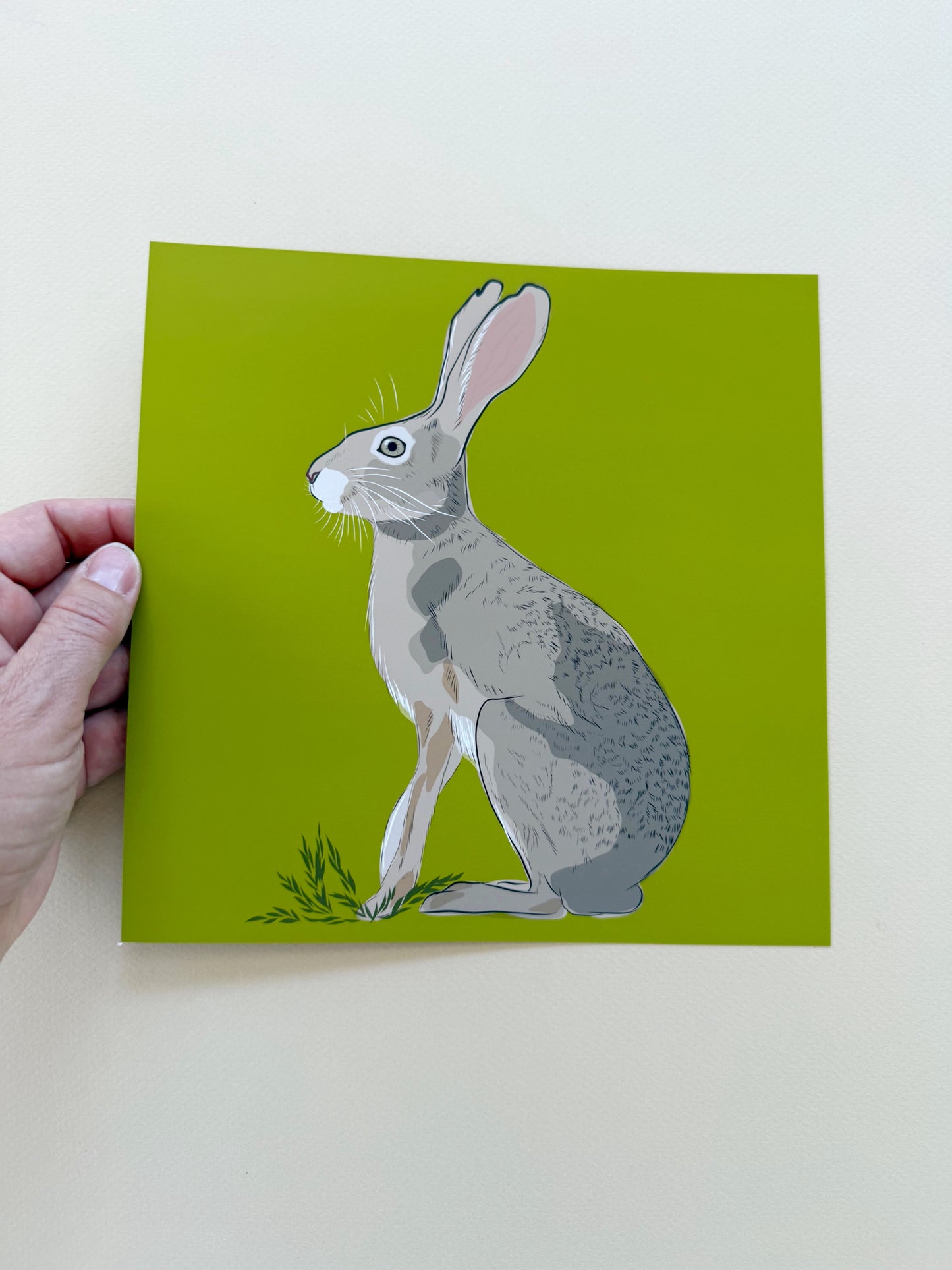AE. Jackrabbit on peridot green background print