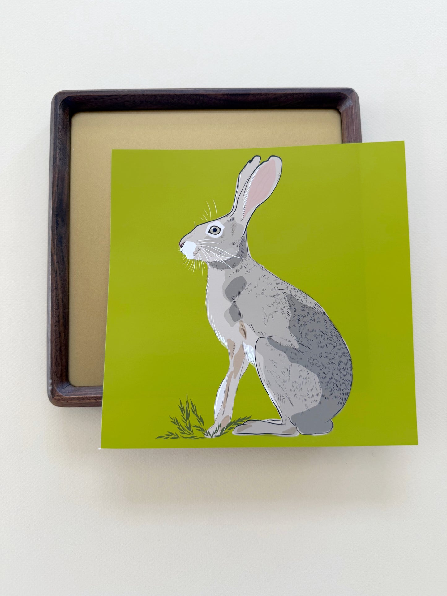 AE. Jackrabbit on peridot green background print