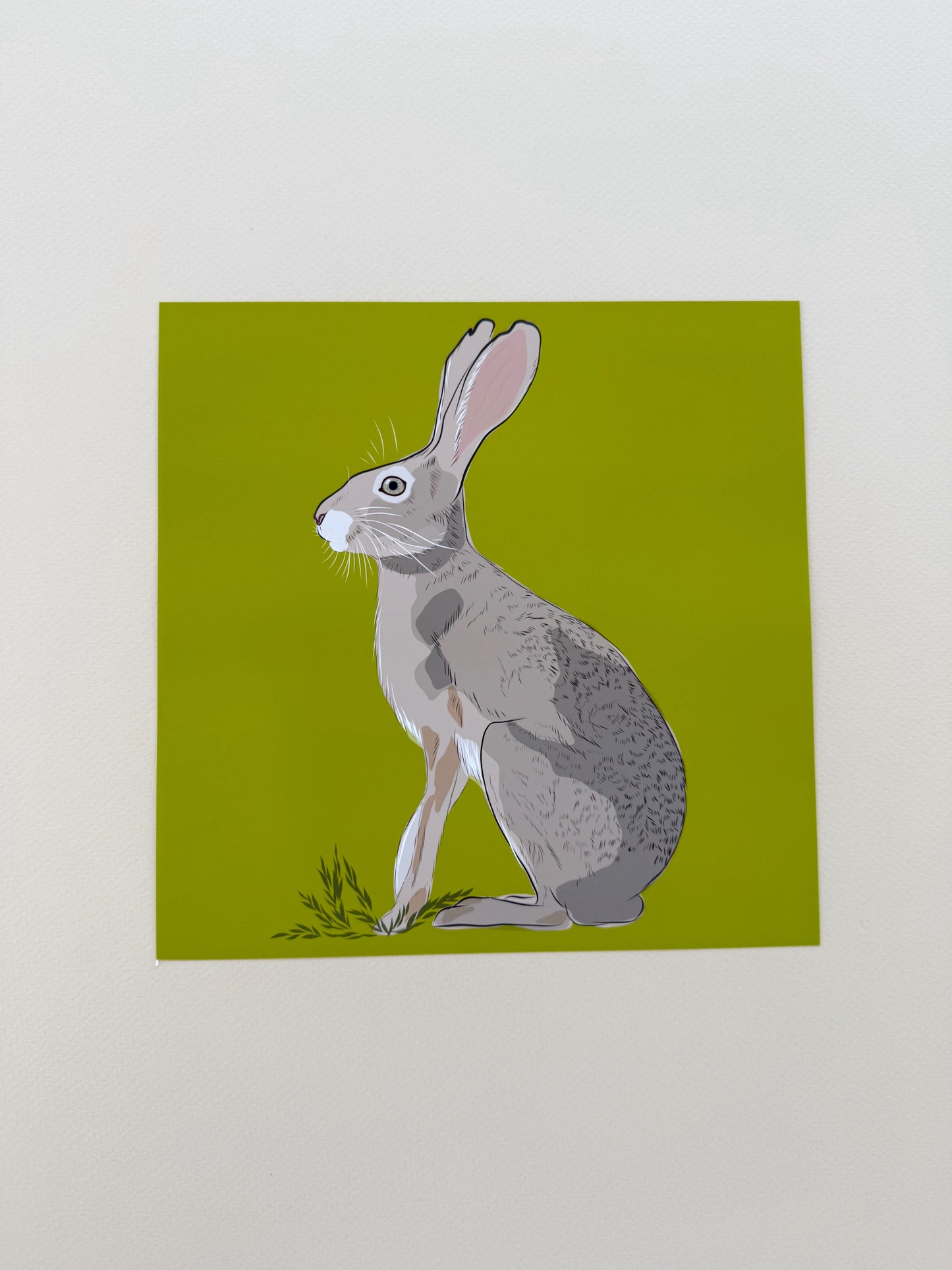 AE. Jackrabbit on peridot green background print