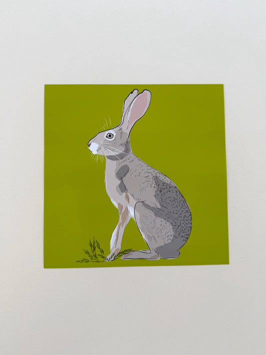 AE. Jackrabbit on peridot green background print