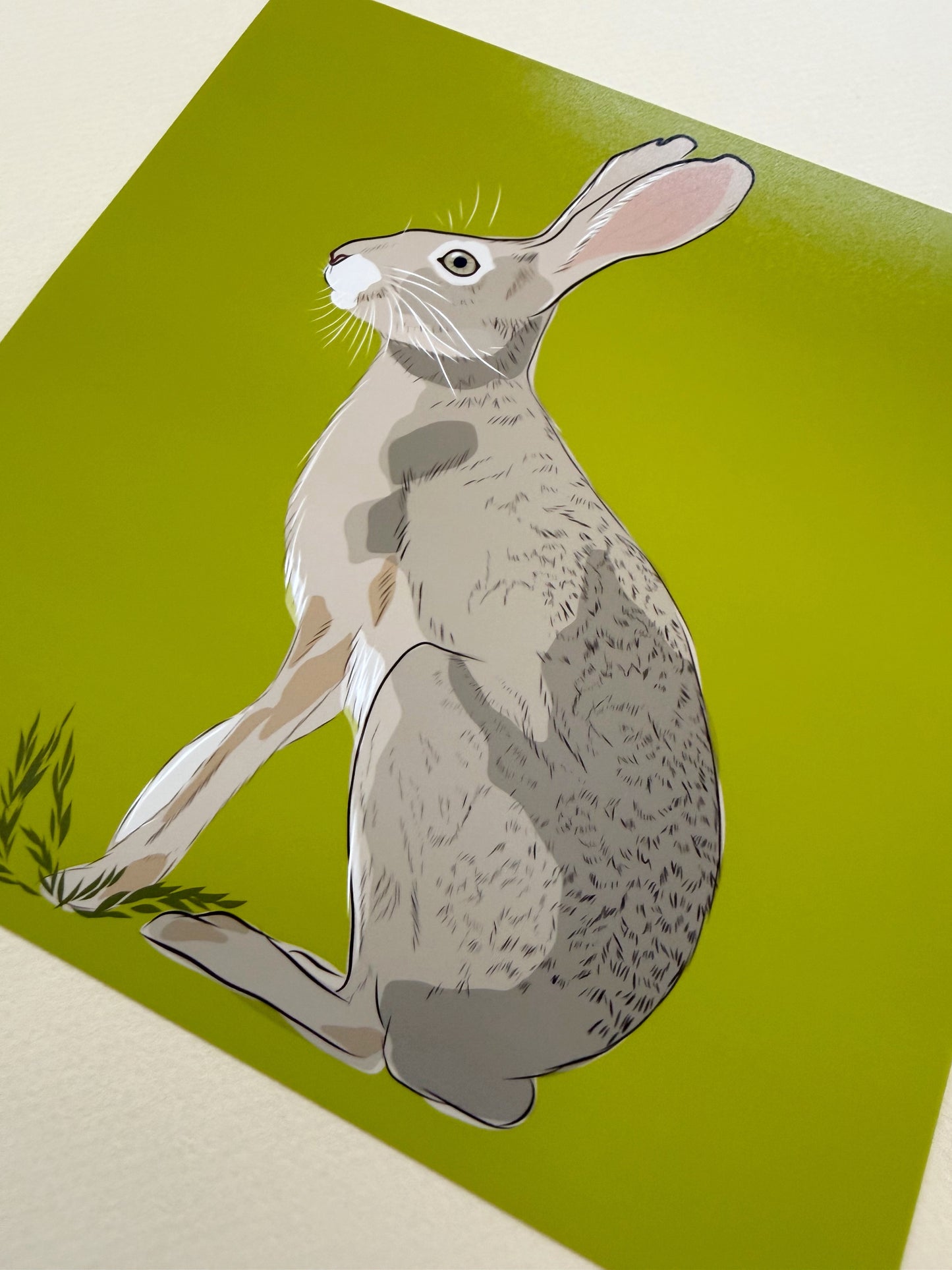 AE. Jackrabbit on peridot green background print