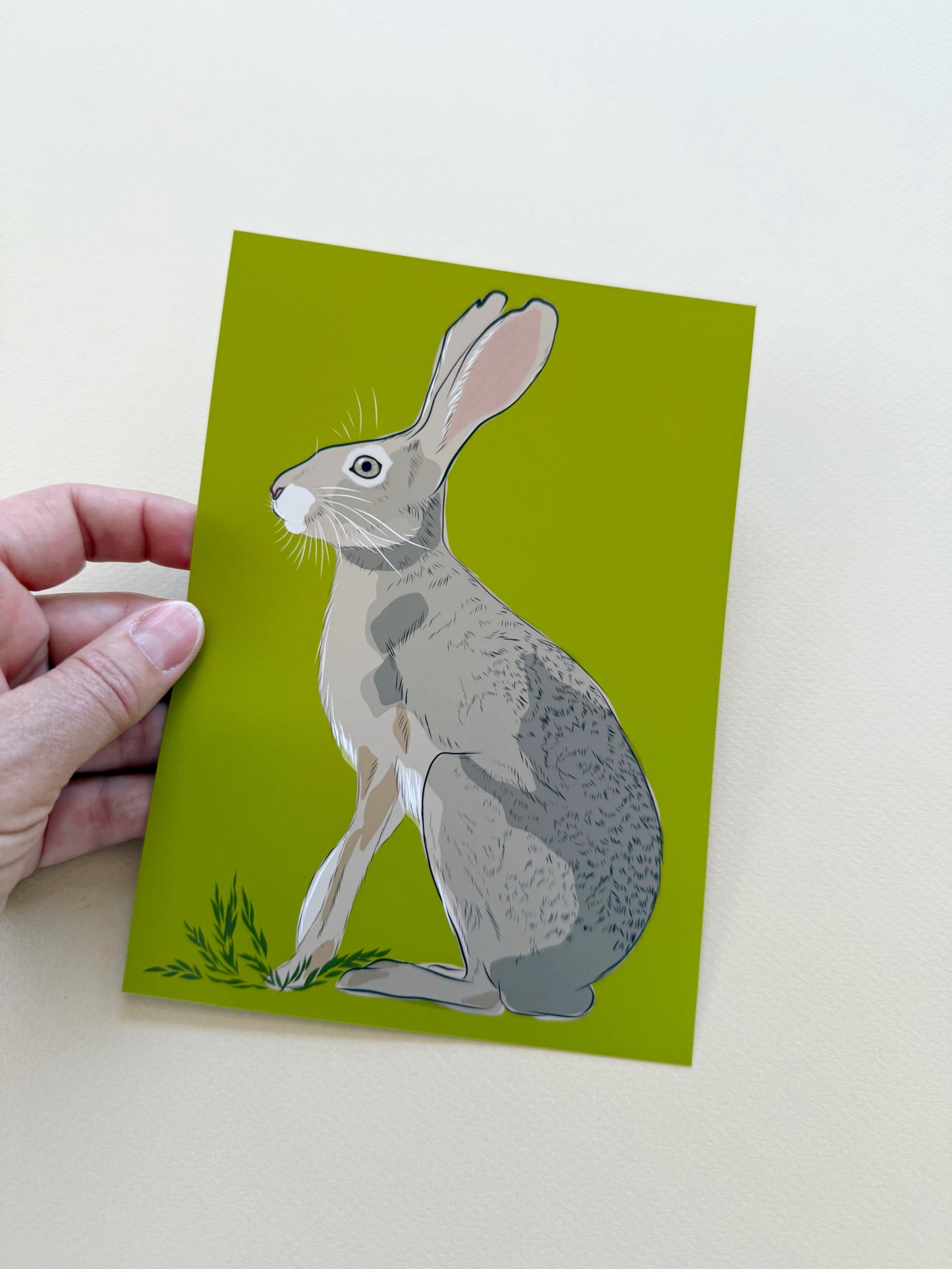 AE. Jackrabbit on peridot green background print
