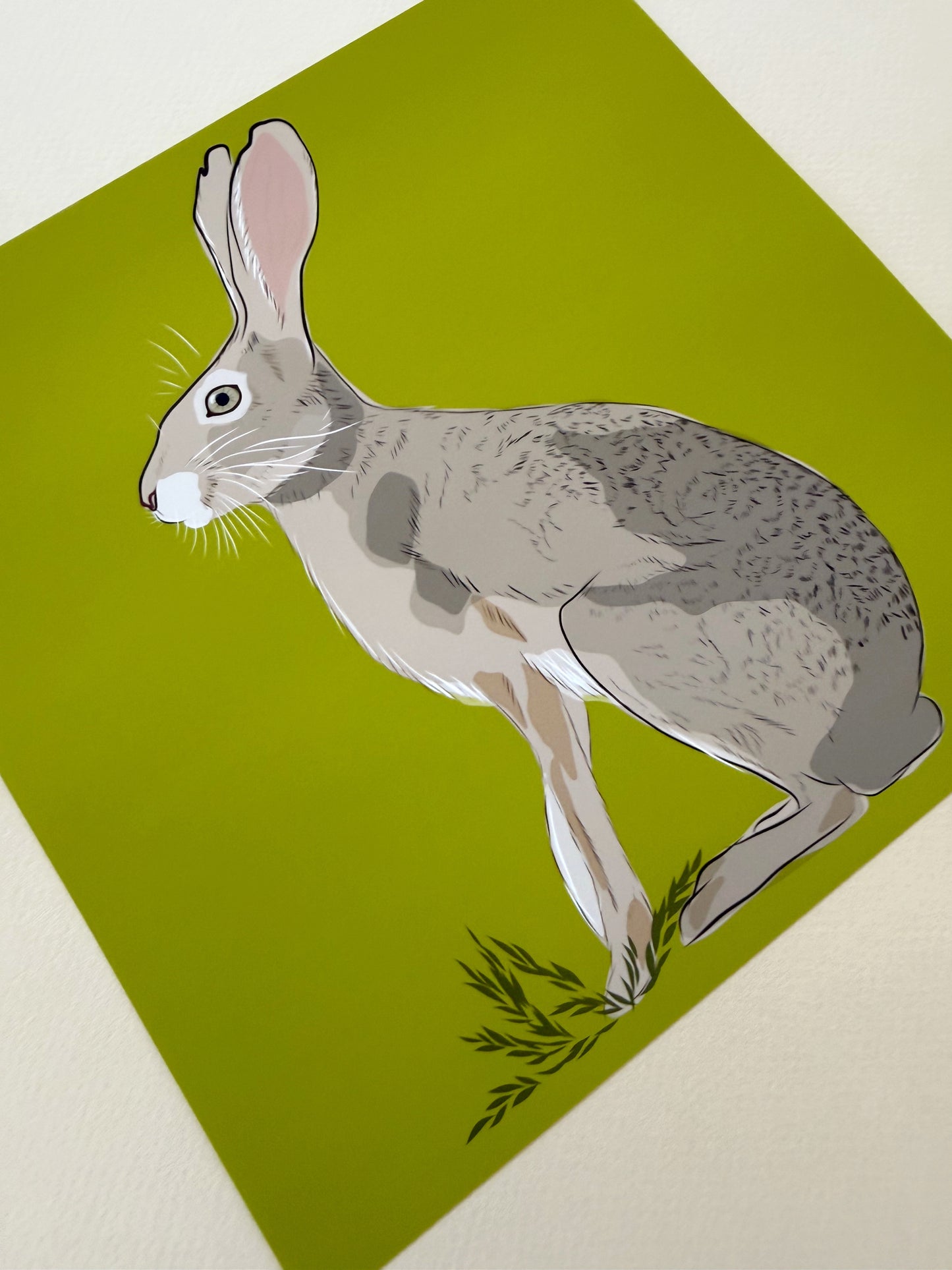 AE. Jackrabbit on peridot green background print